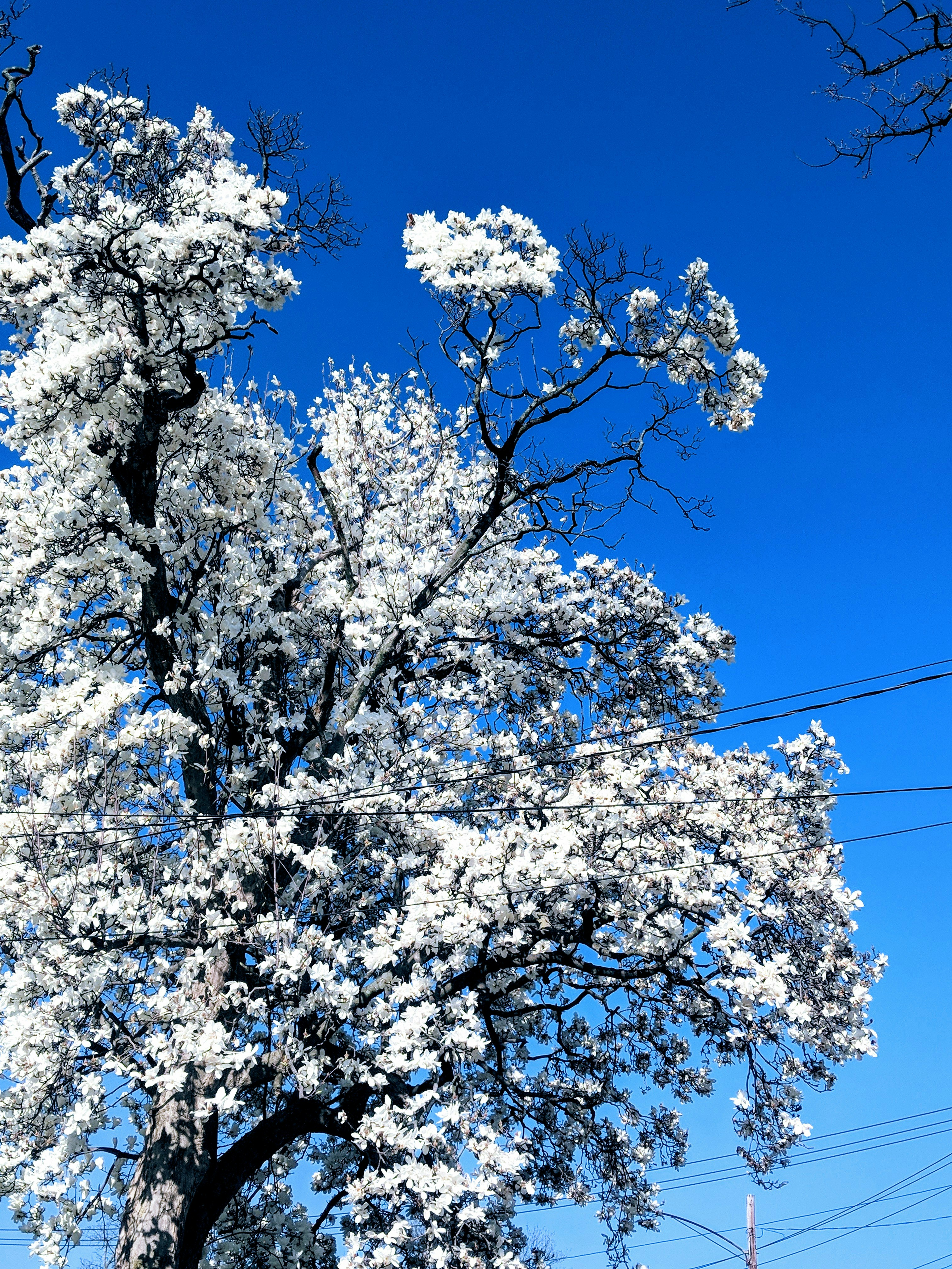 Photo by quietlittleleaf