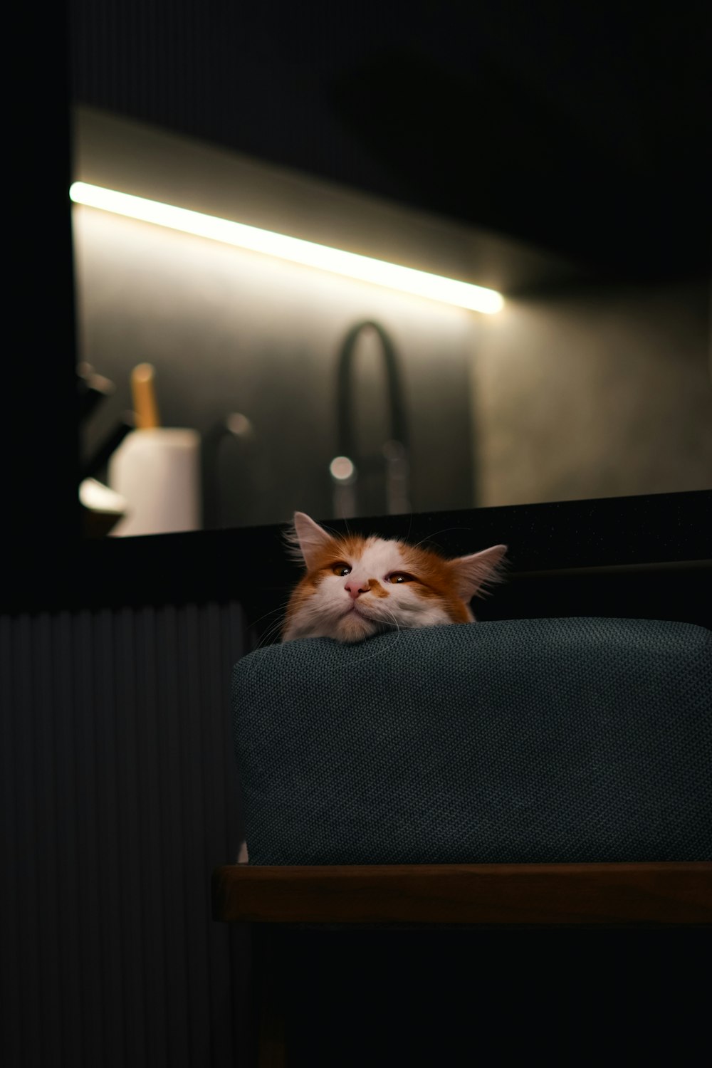 an orange and white cat laying on top of a chair