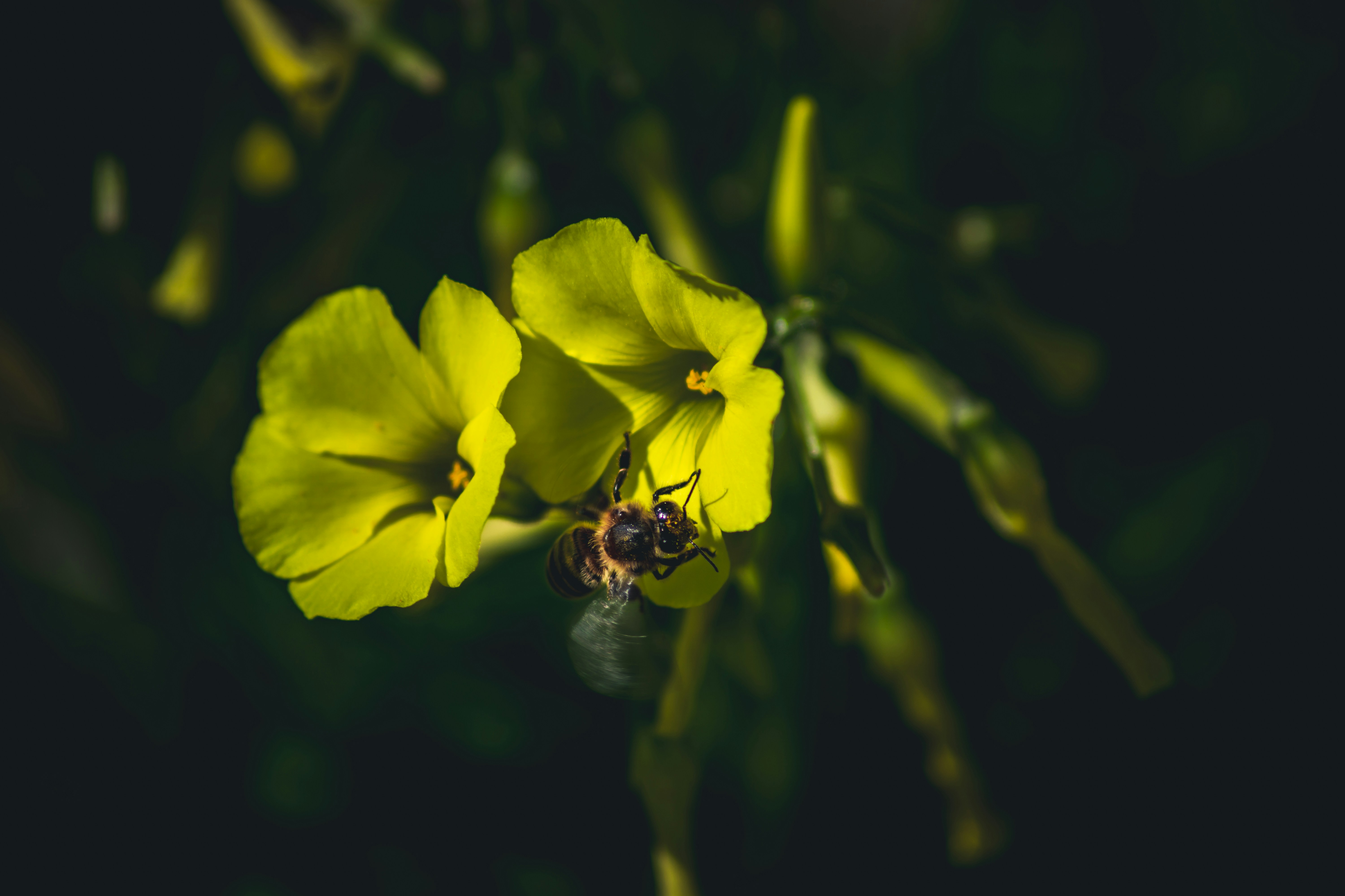 Photo by diogocardoso28