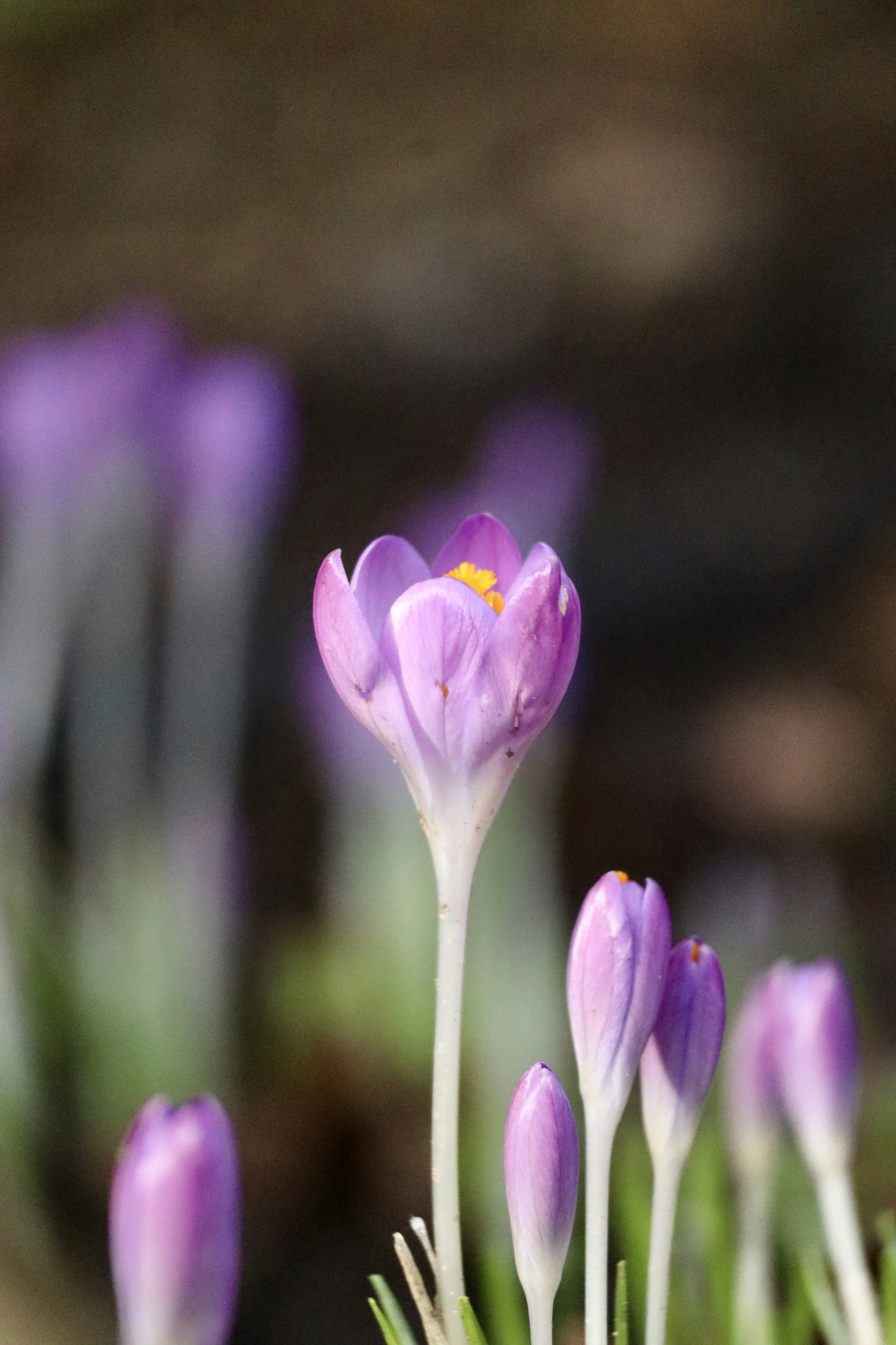 Photo by johnnygthorpe11