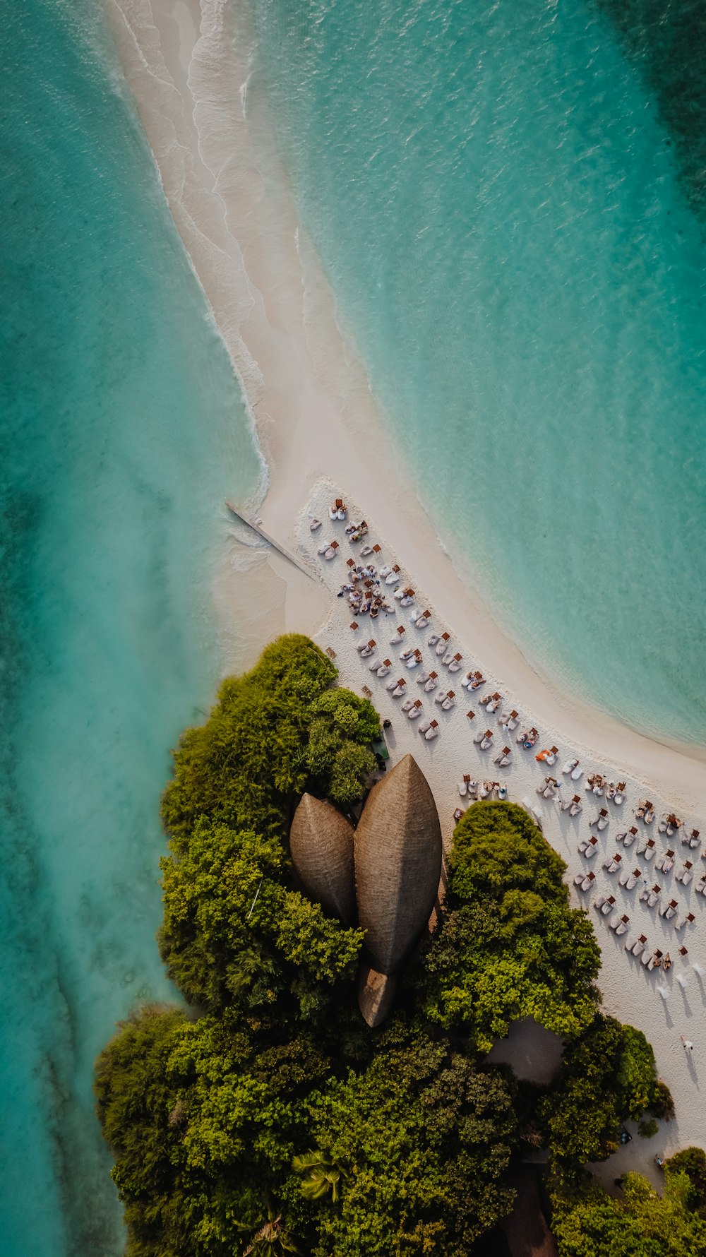 an aerial view of a beach with a group of people