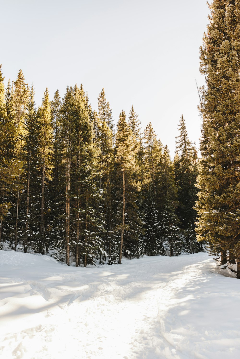 a person riding skis down a snow covered slope