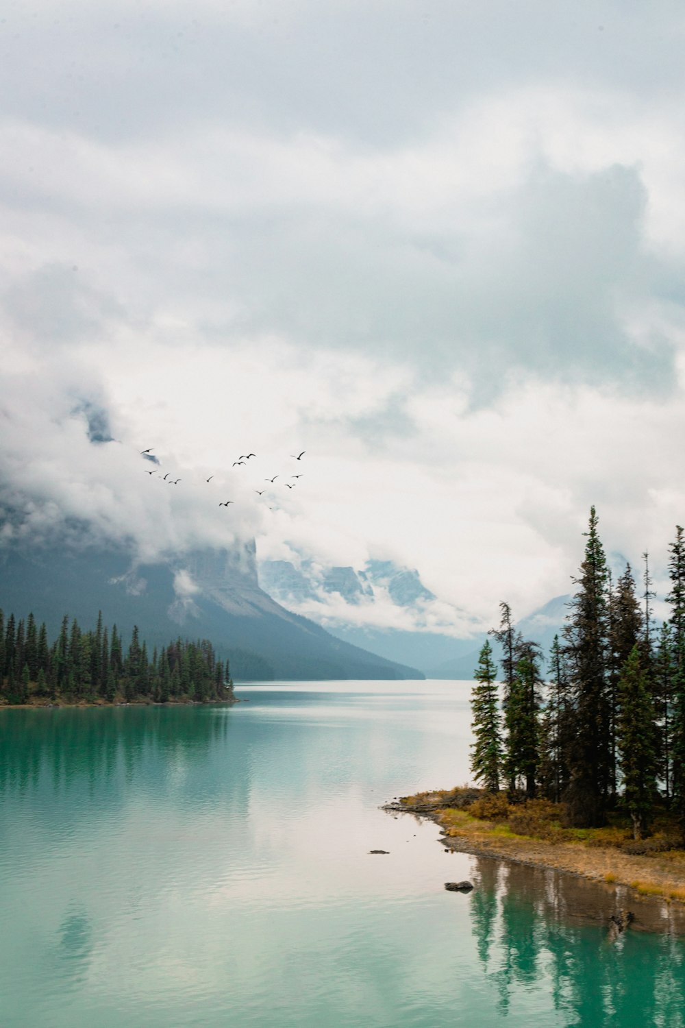 a large body of water surrounded by trees