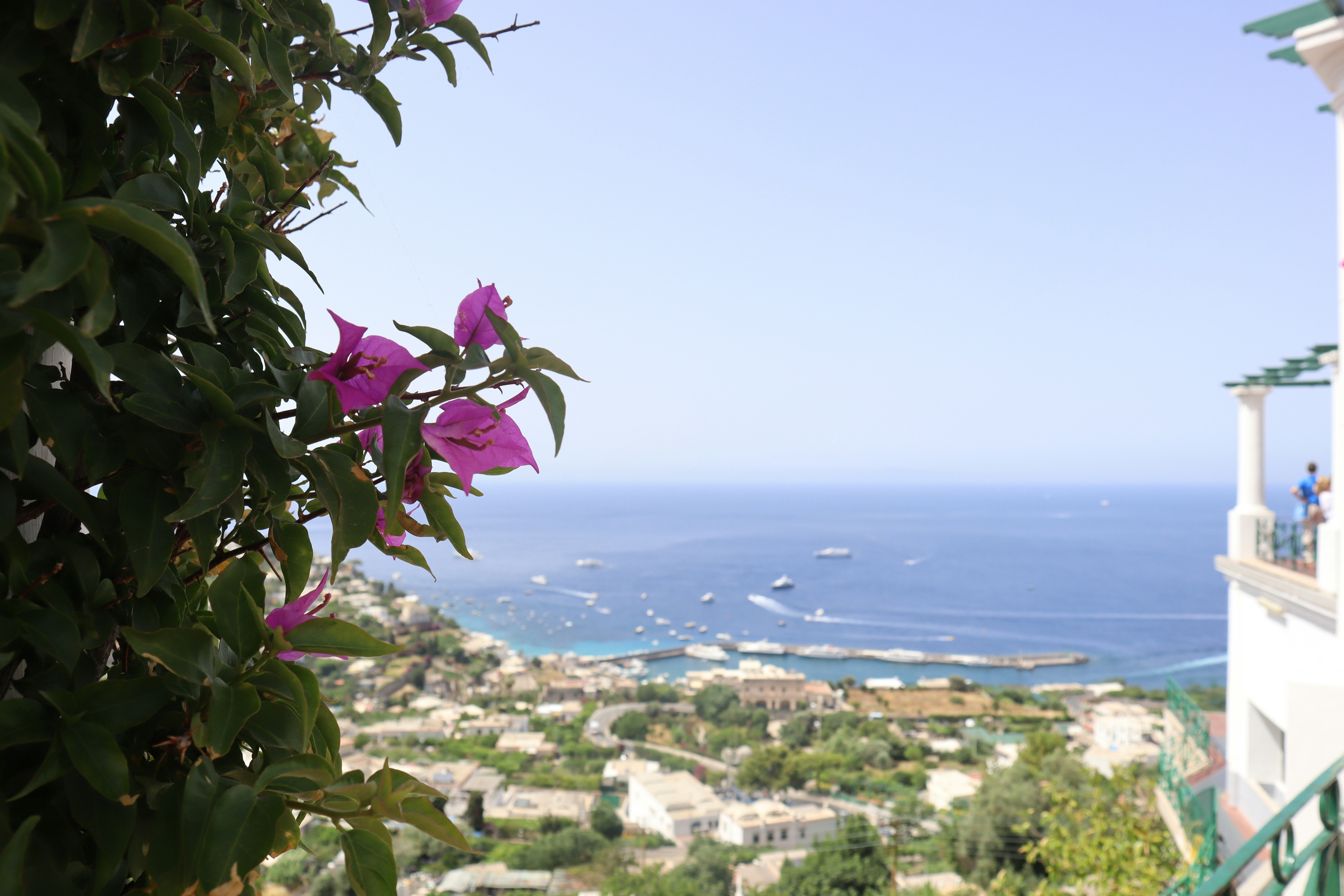 Photo by mihaela_claudia_p