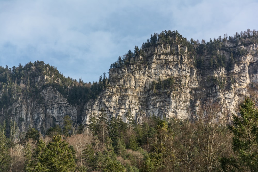 a large mountain with a forest below it