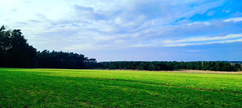 a green field with trees in the background