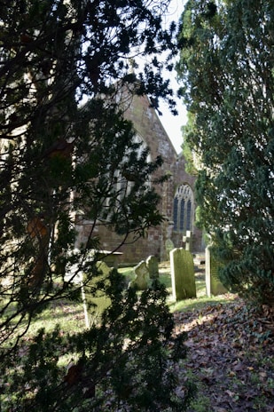 a cemetery with a church in the background