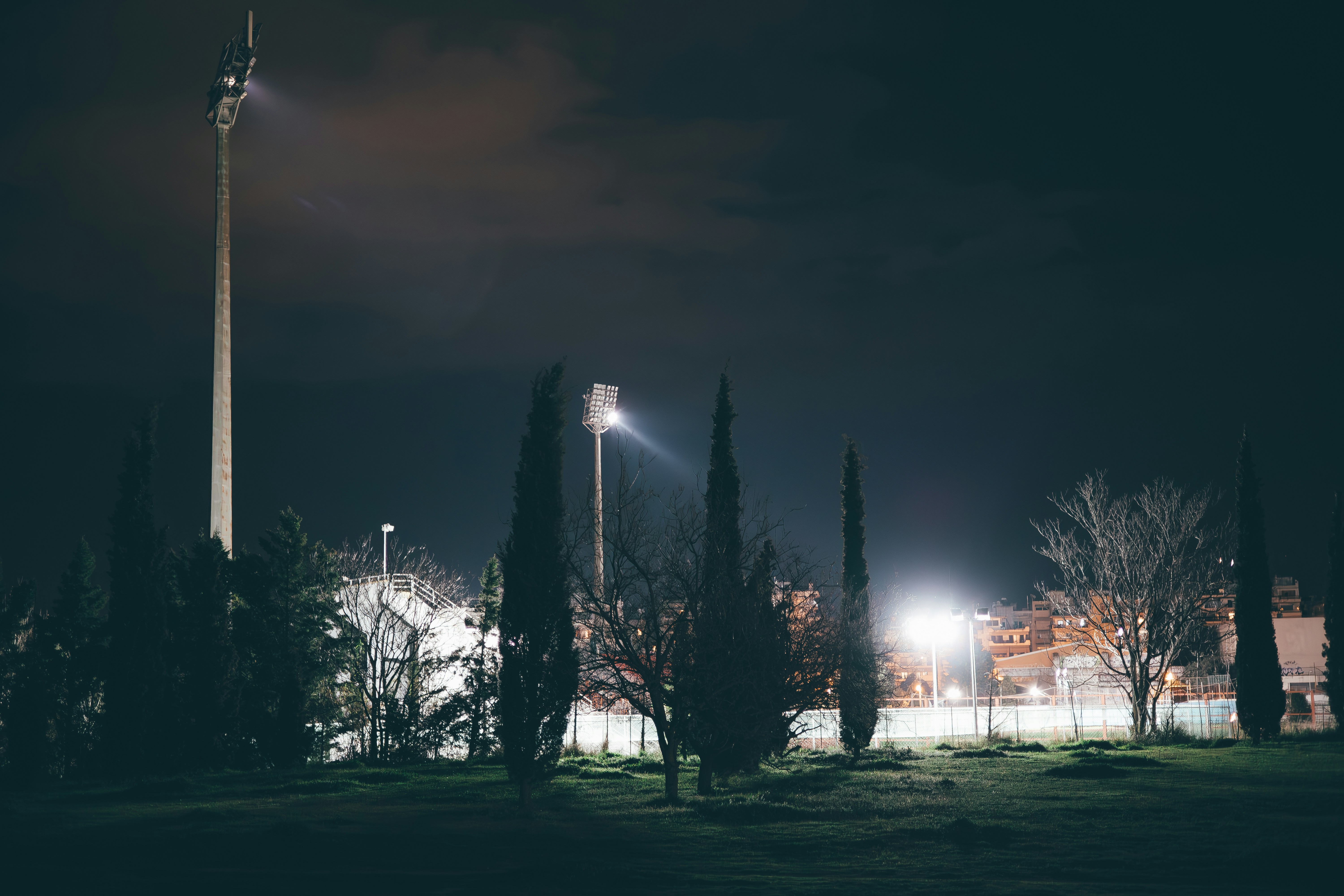 a night view of a stadium with lights and trees