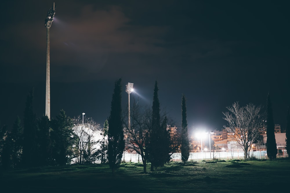 a night view of a stadium with lights and trees