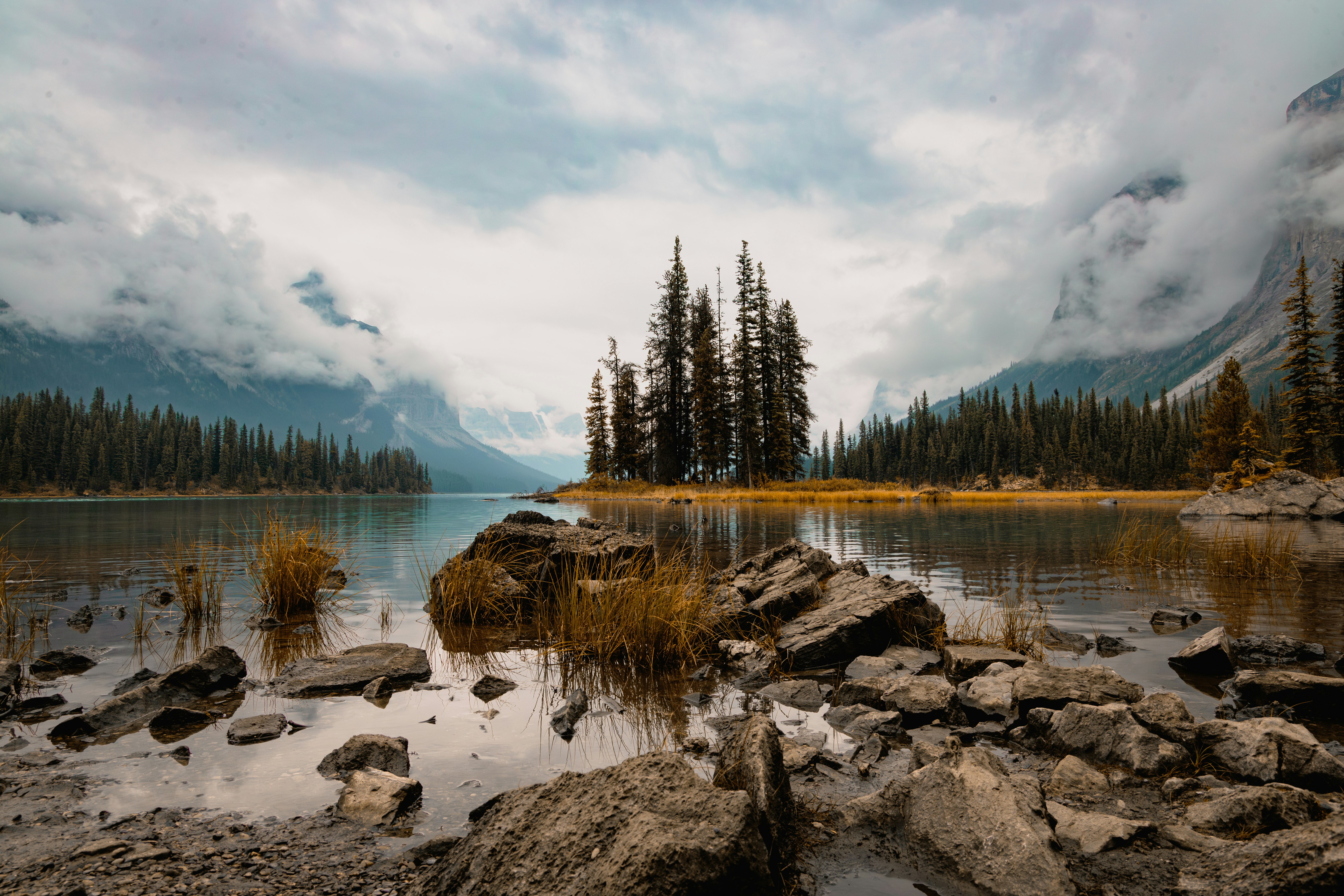 a body of water surrounded by trees and rocks