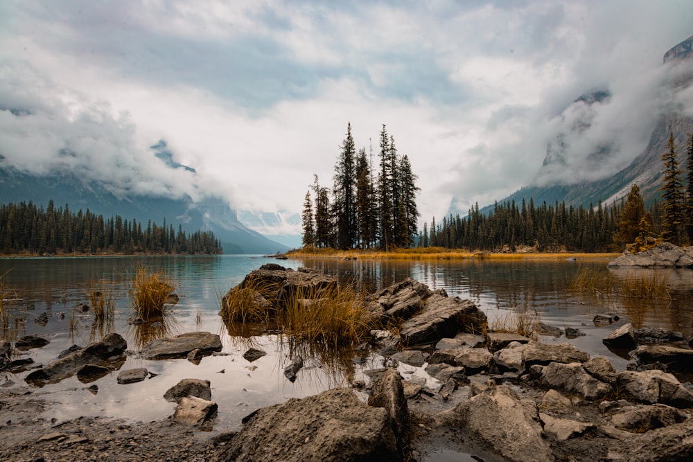 a body of water surrounded by trees and rocks