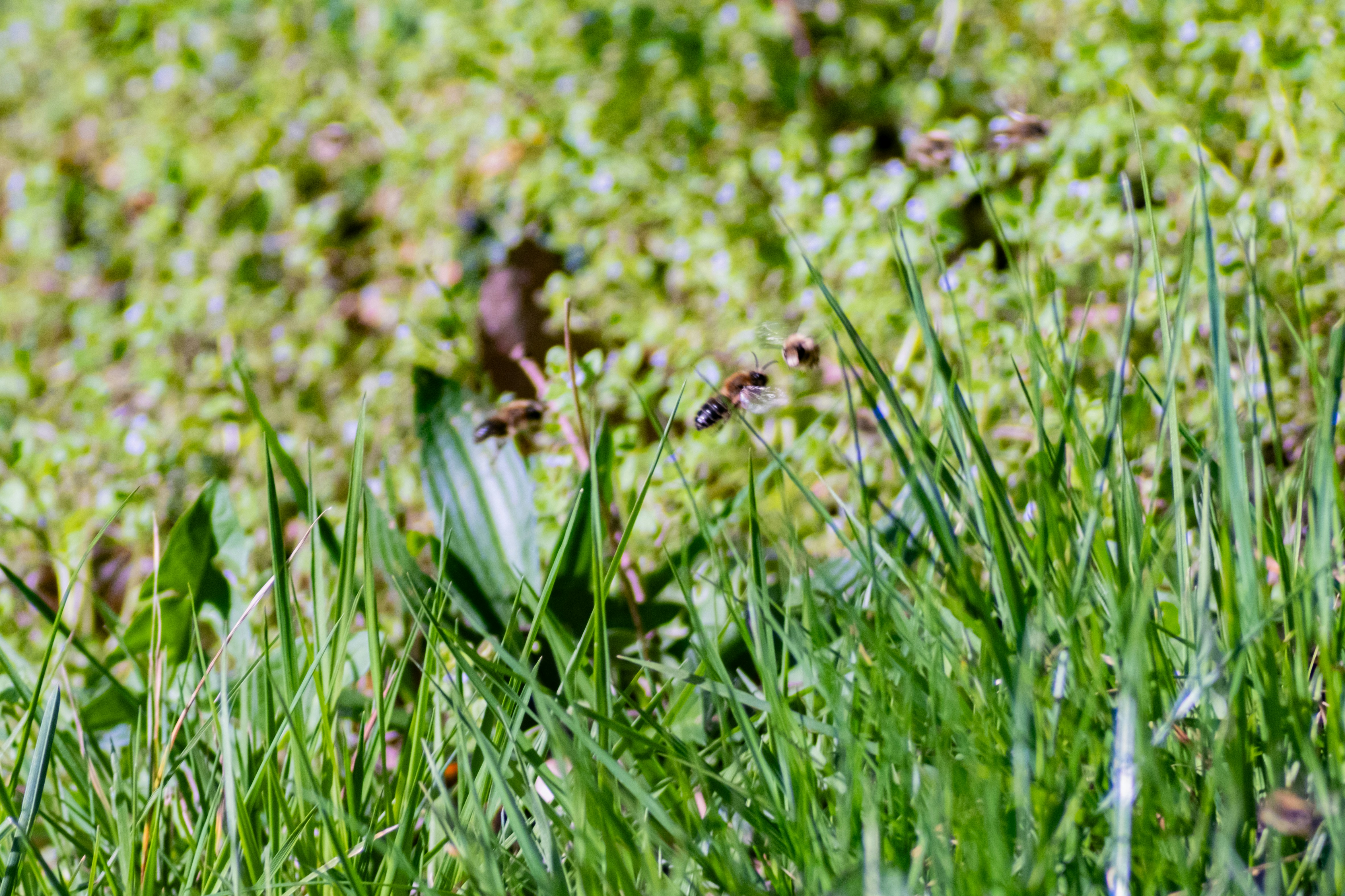 Photo by paulschnuerle