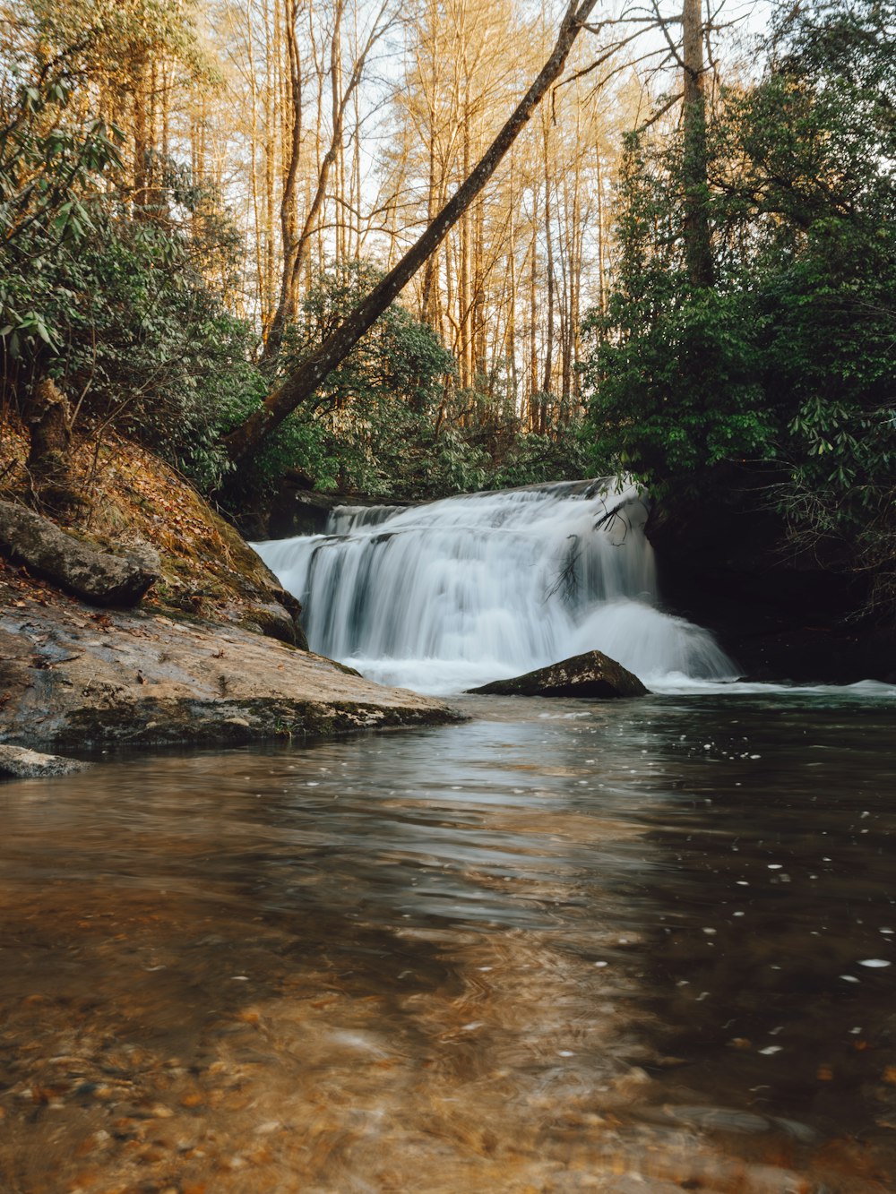 una pequeña cascada en medio de un bosque