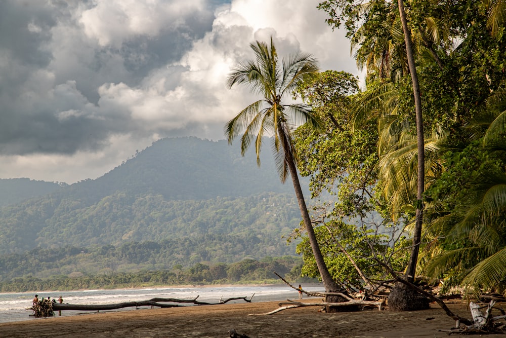 a boat on a beach with a mountain in the background