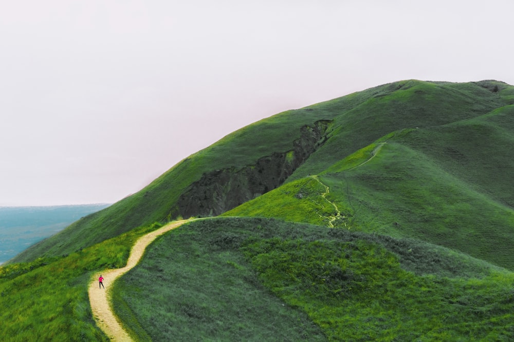 a person is walking up a grassy hill