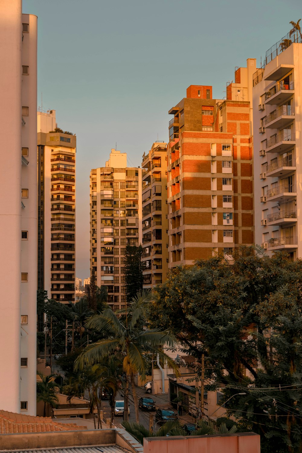 a city skyline with tall buildings and palm trees