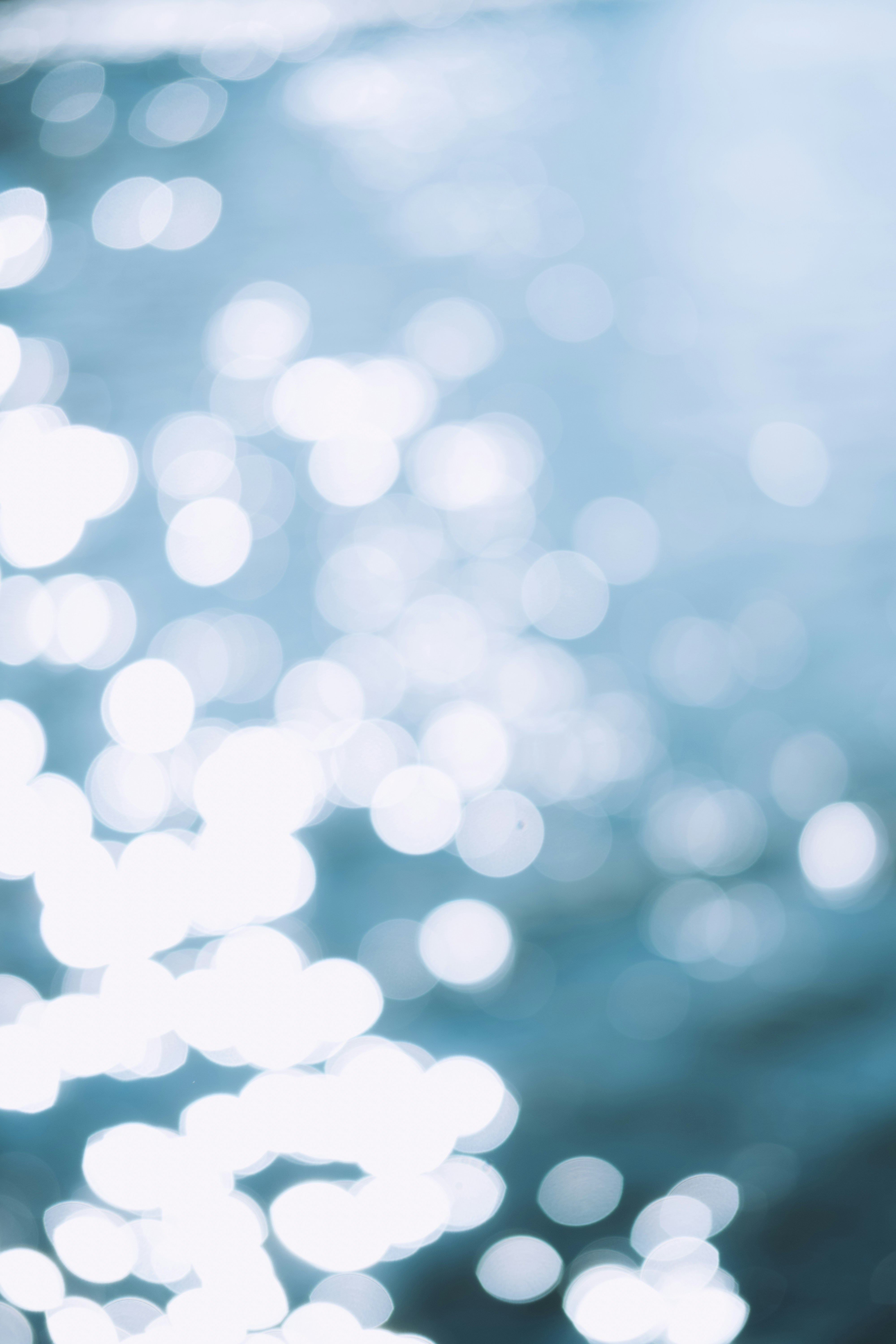 Photo by jasonwong23