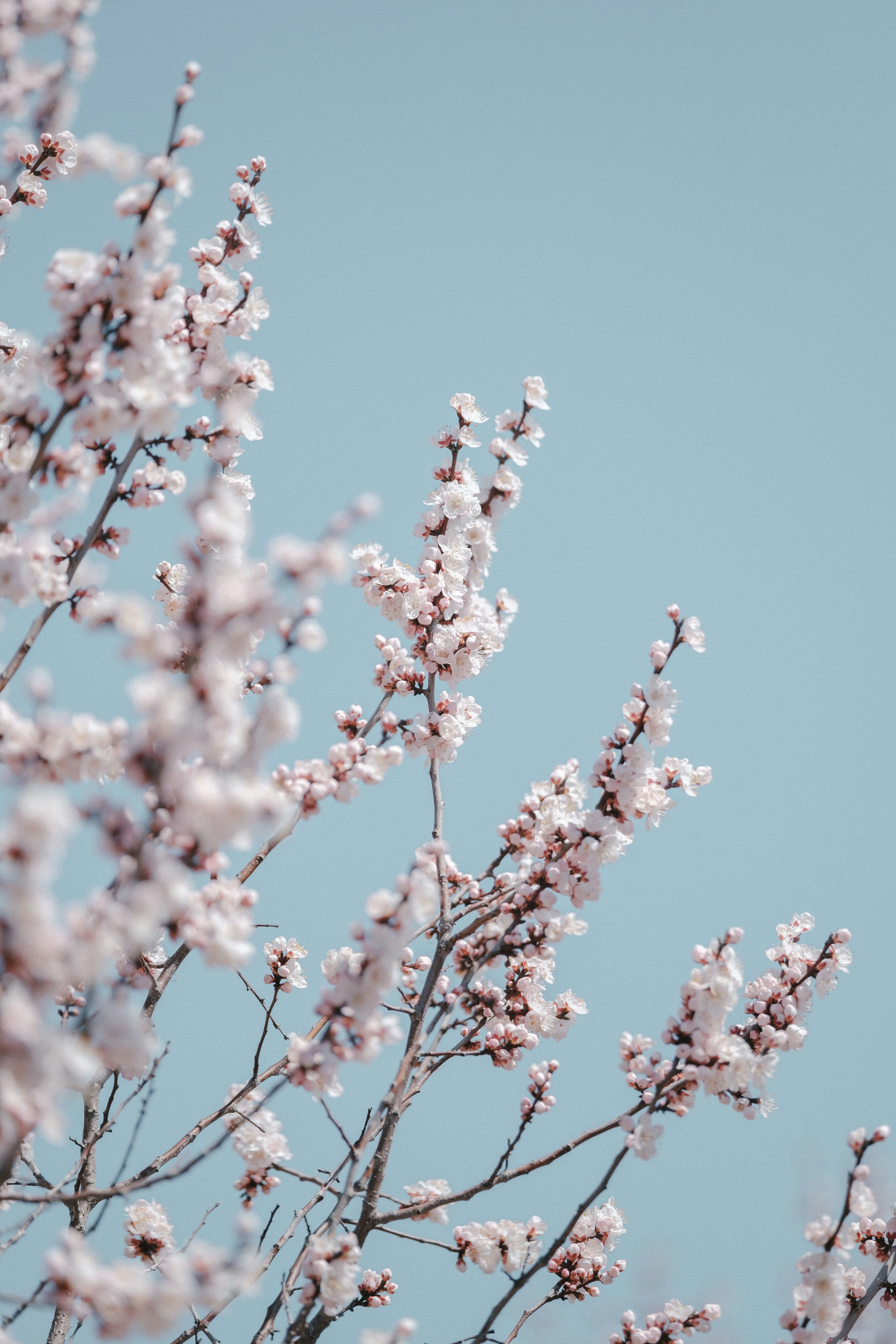 Photo by jasonwong23