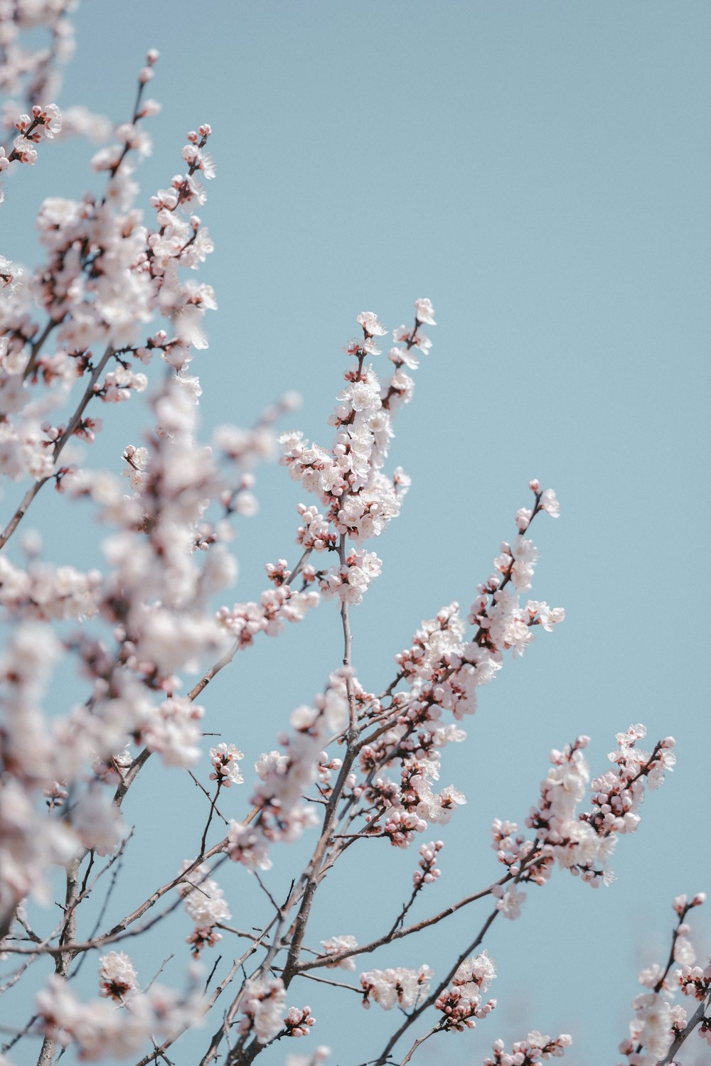 a bird is sitting on a tree branch