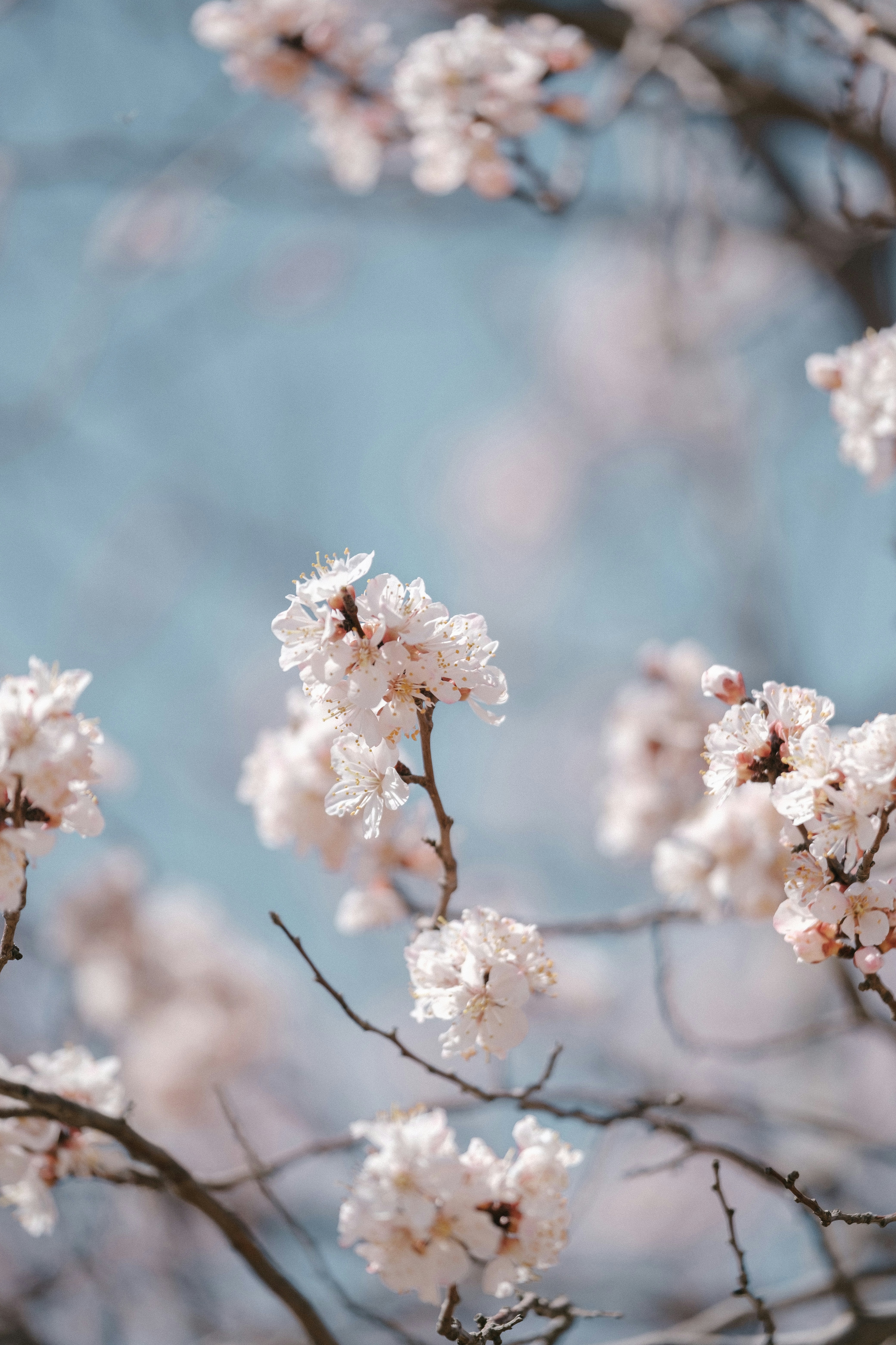 Photo by jasonwong23