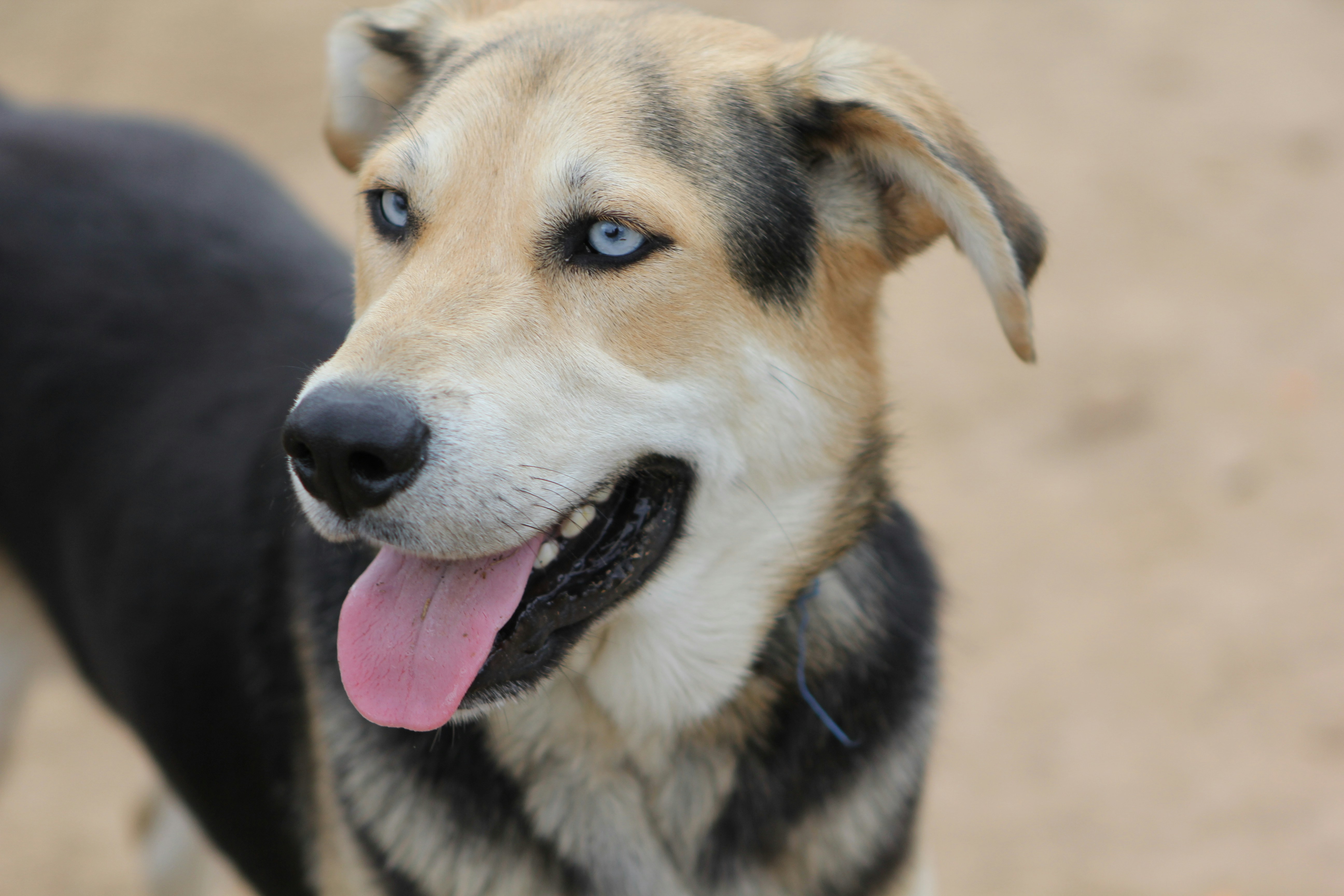 Photo by judy_beth_morris_idaho