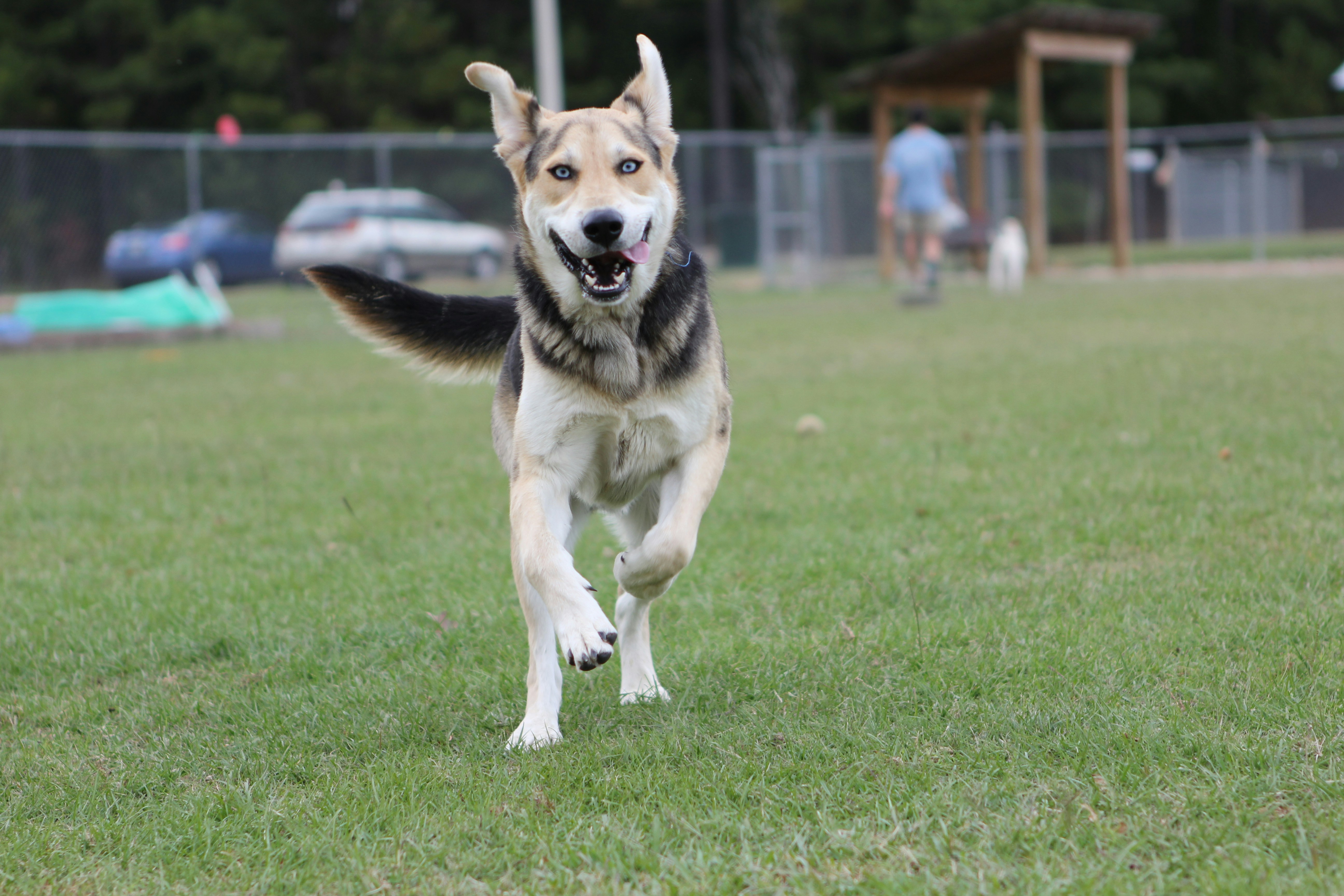 Photo by judy_beth_morris_idaho