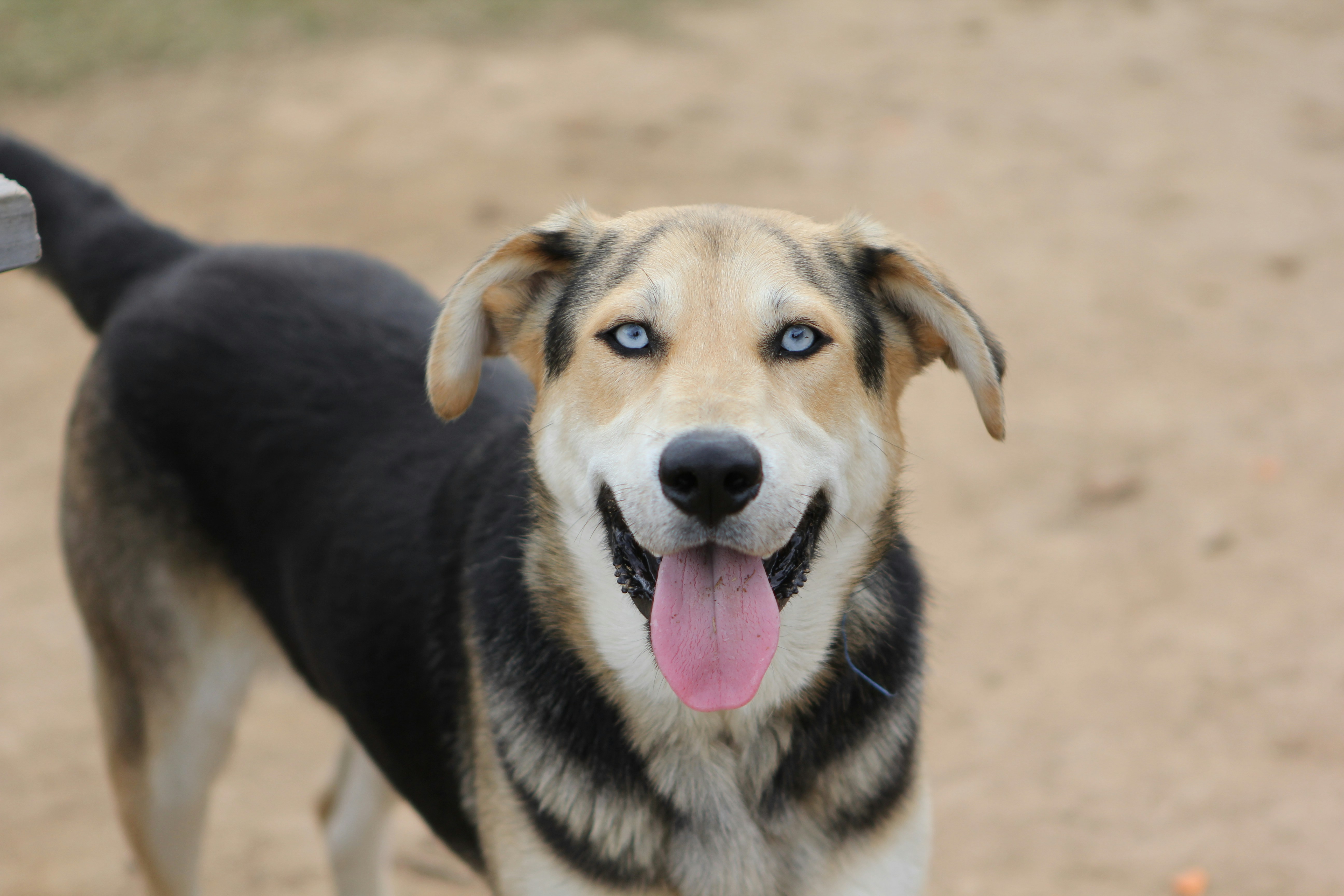 Photo by judy_beth_morris_idaho