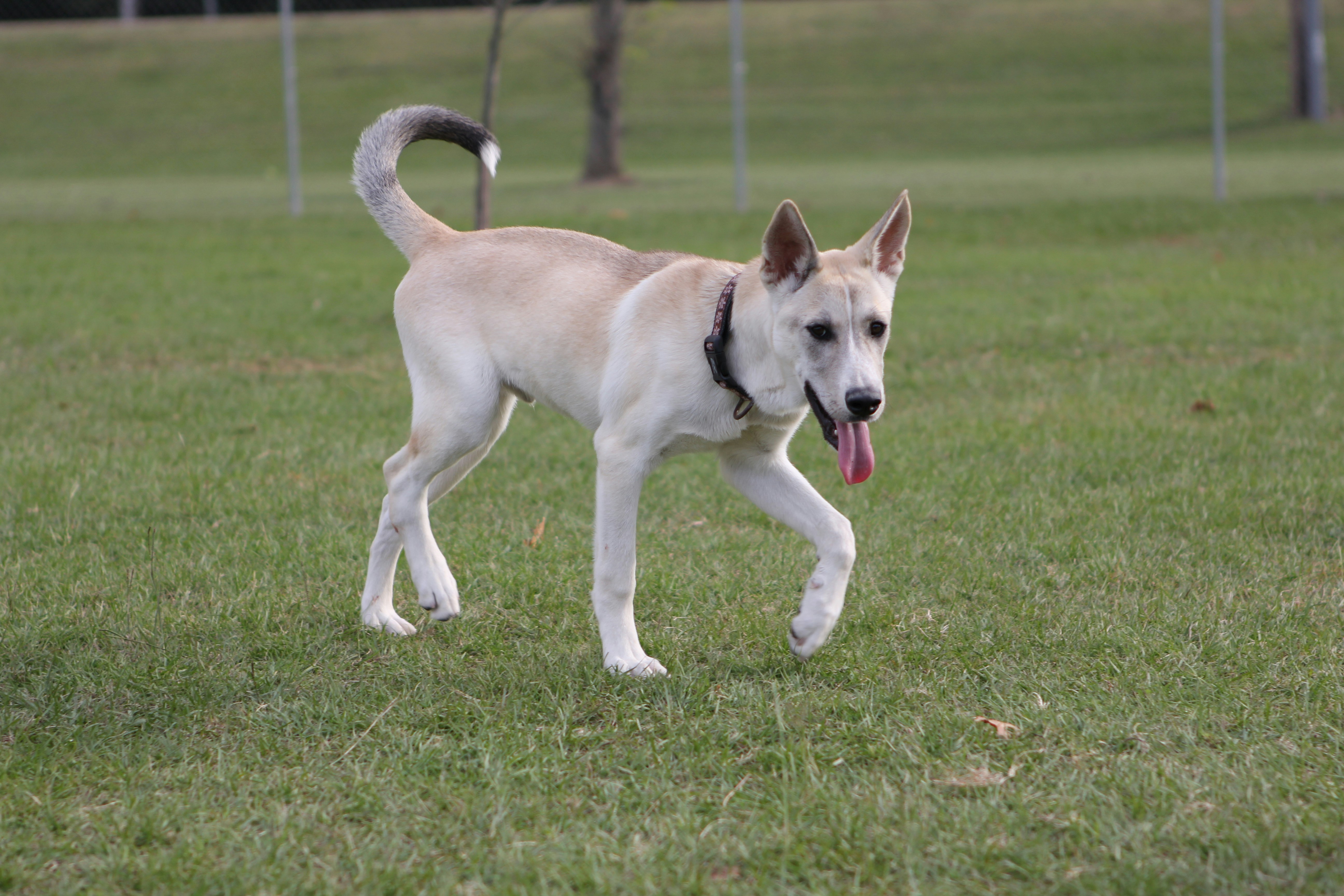 Photo by judy_beth_morris_idaho