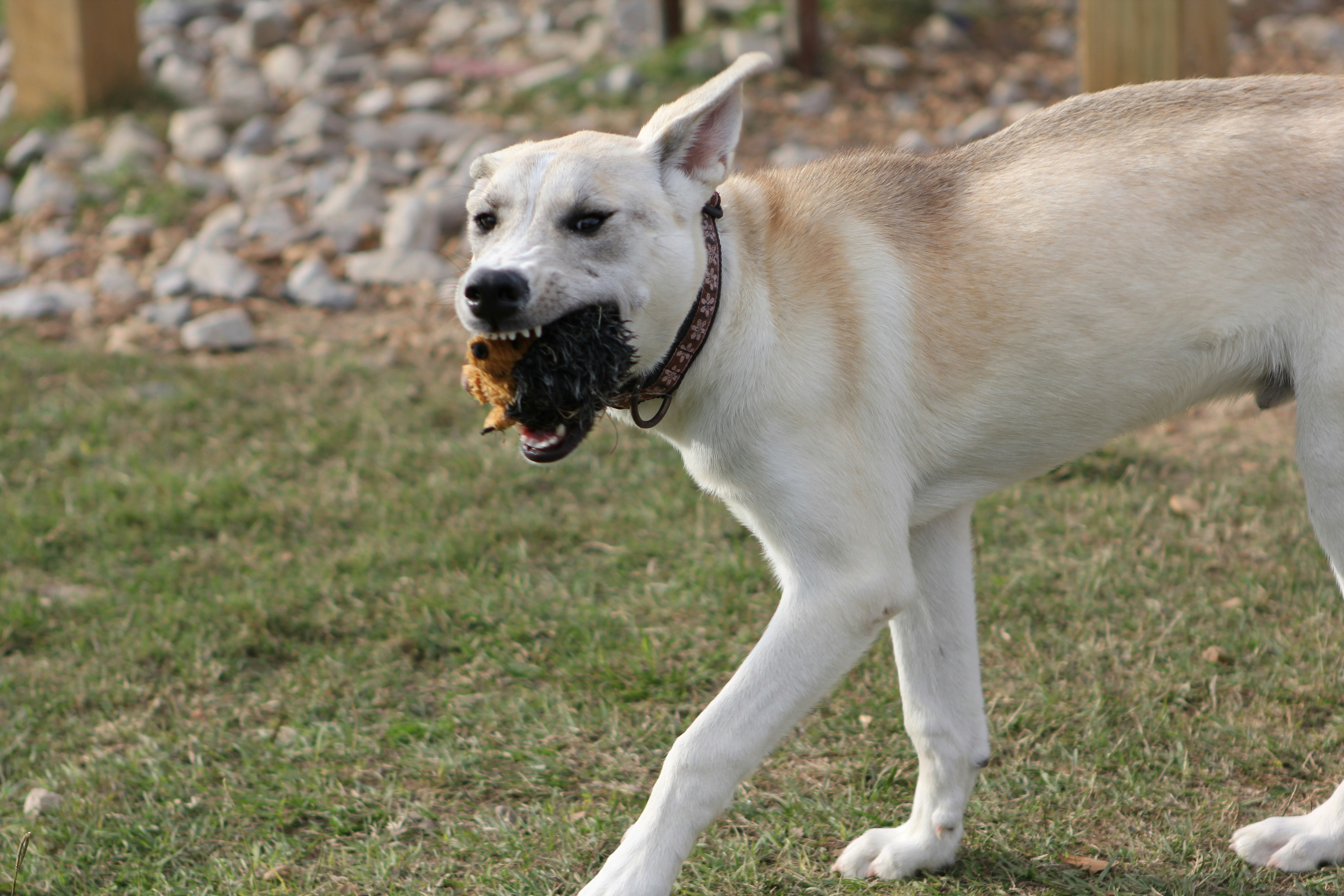 Photo by judy_beth_morris_idaho