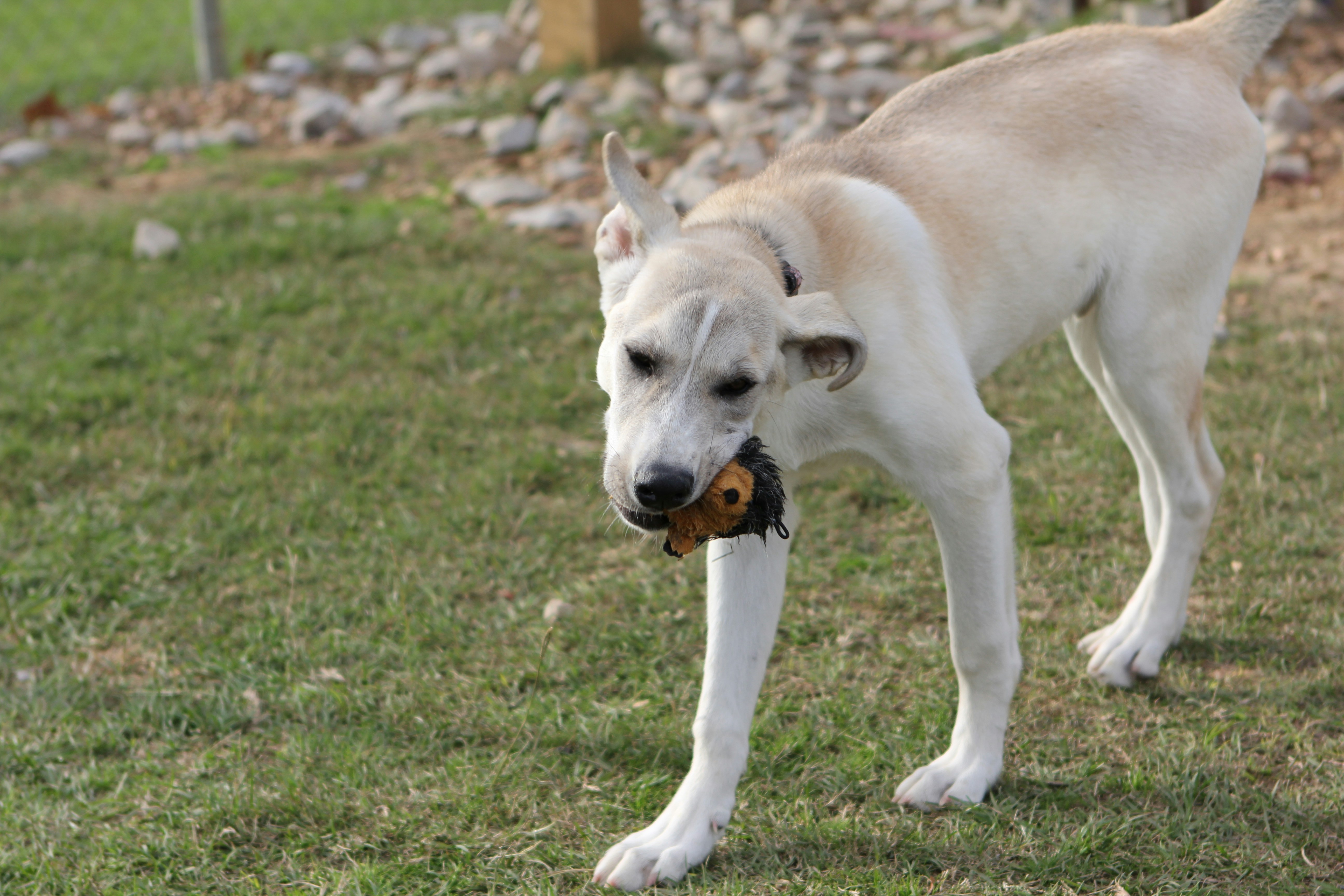 How to Support Overall Salivary and Physical Health