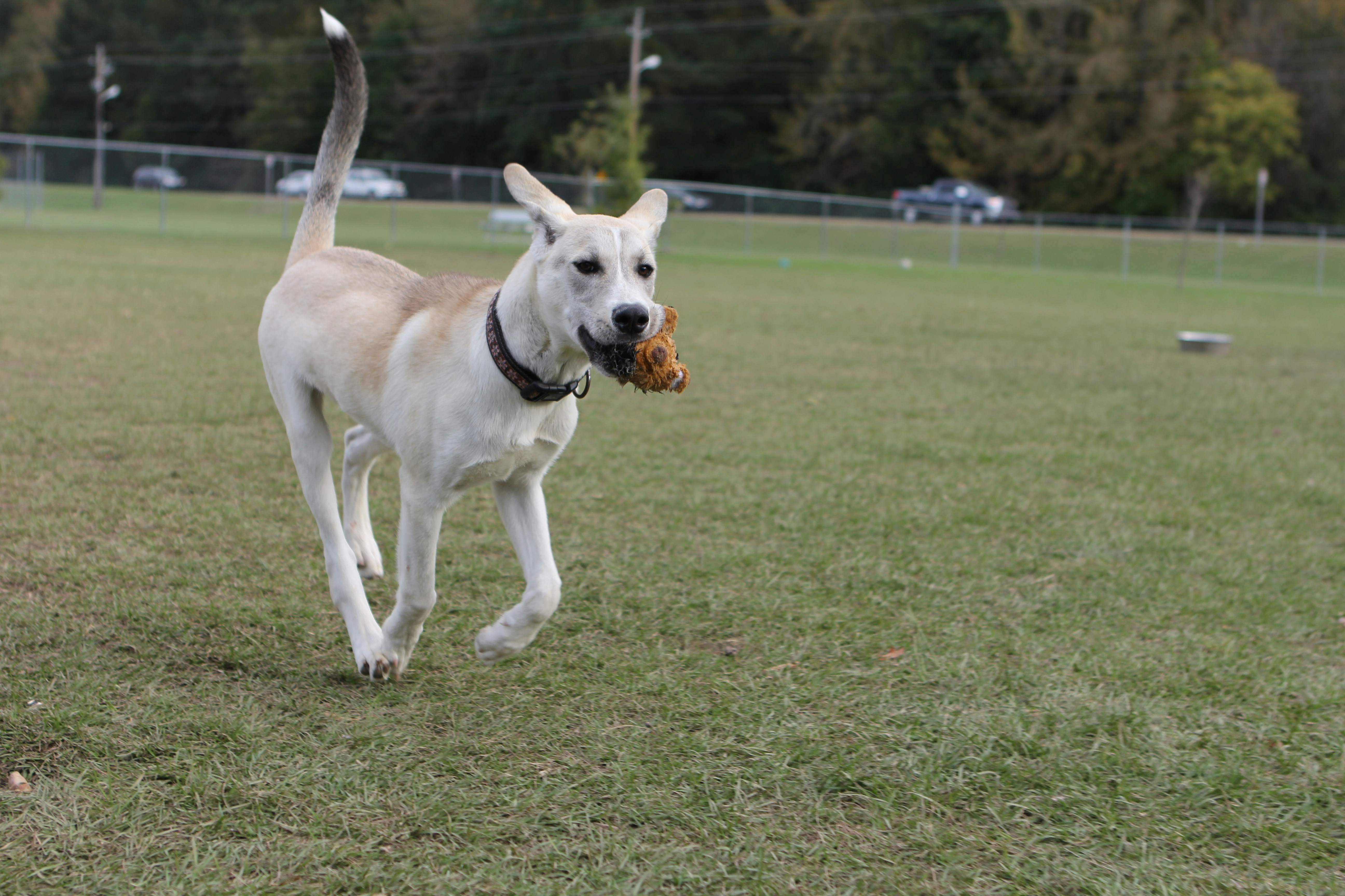 Photo by judy_beth_morris_idaho