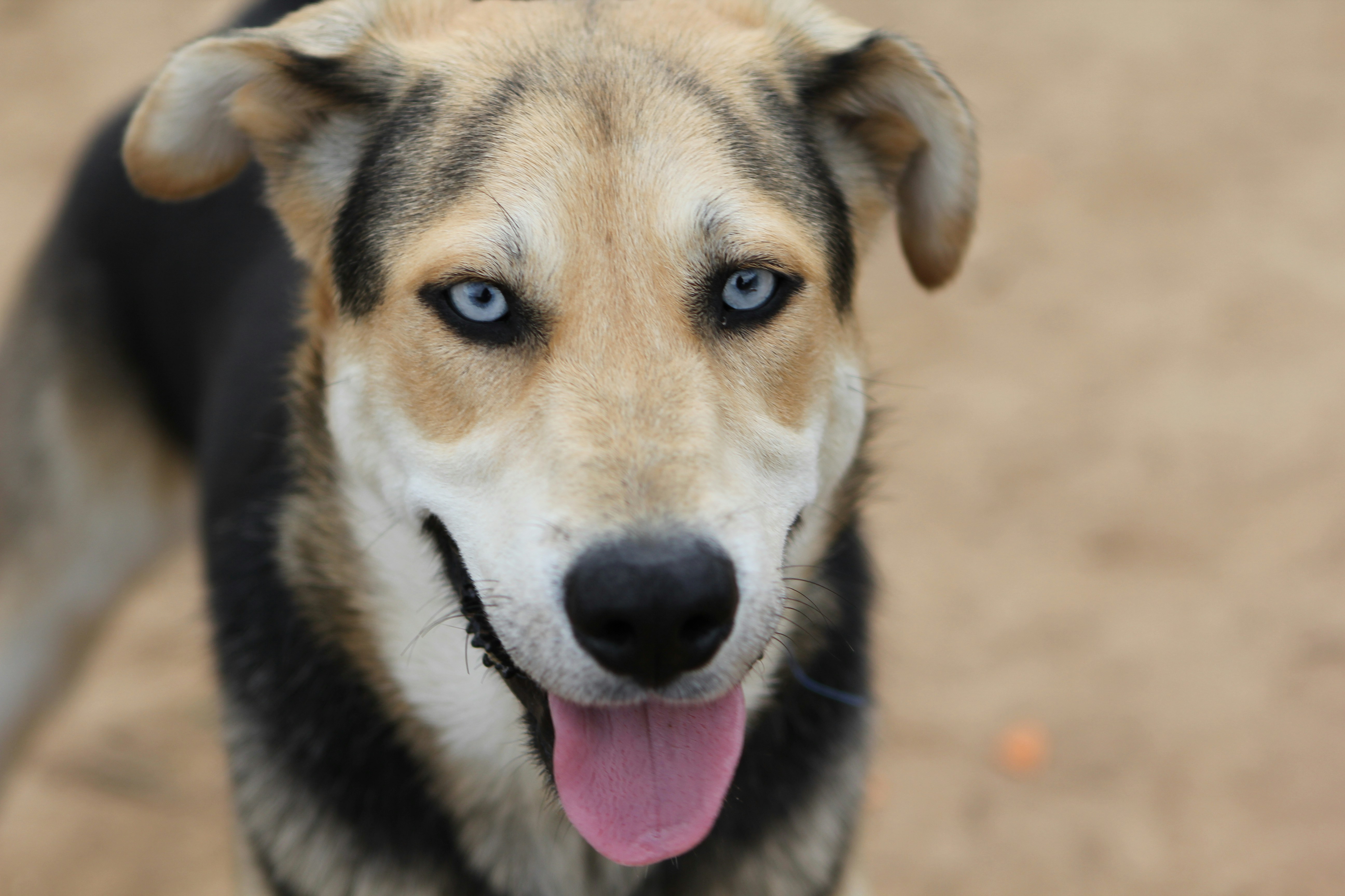 Photo by judy_beth_morris_idaho