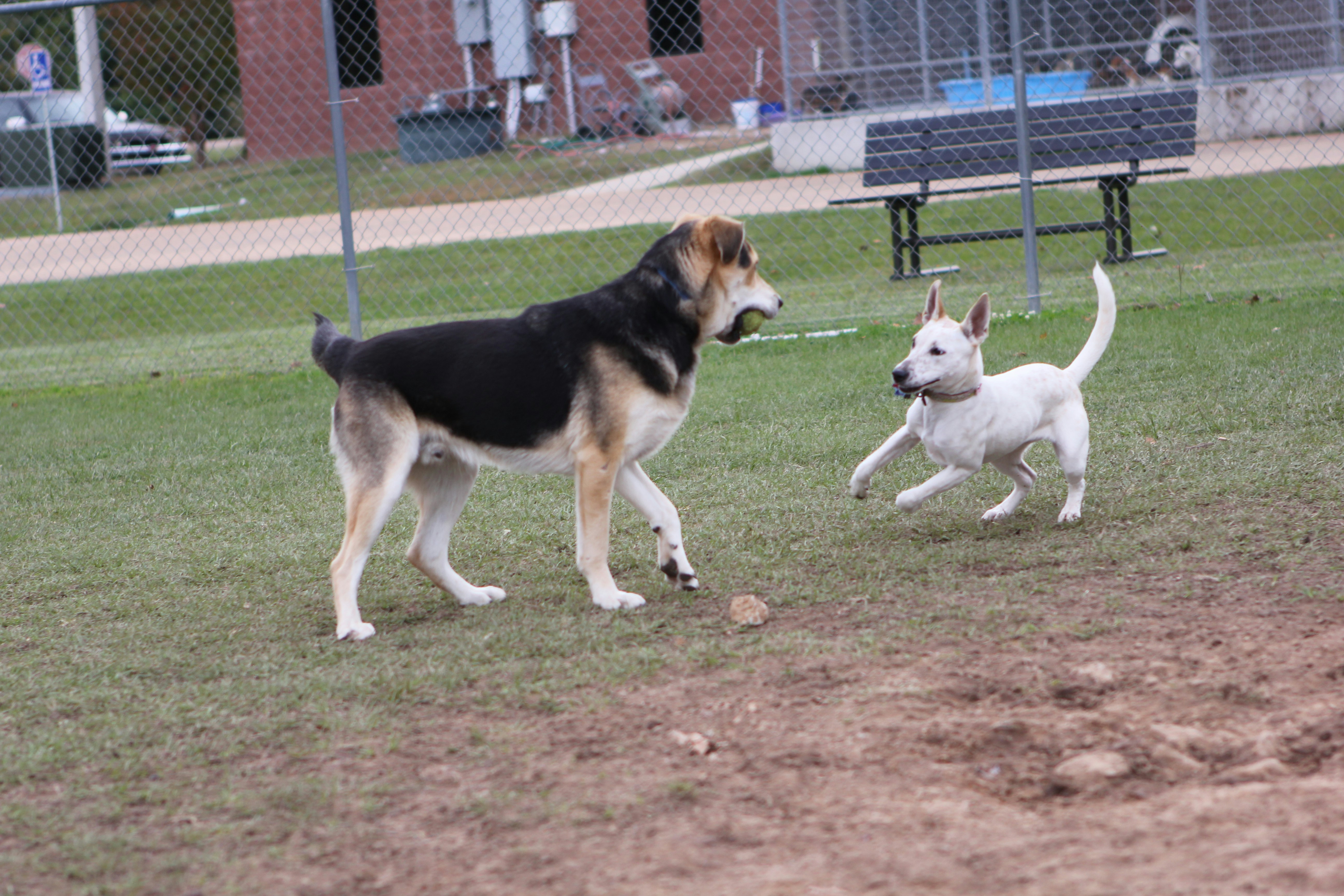 Photo by judy_beth_morris_idaho