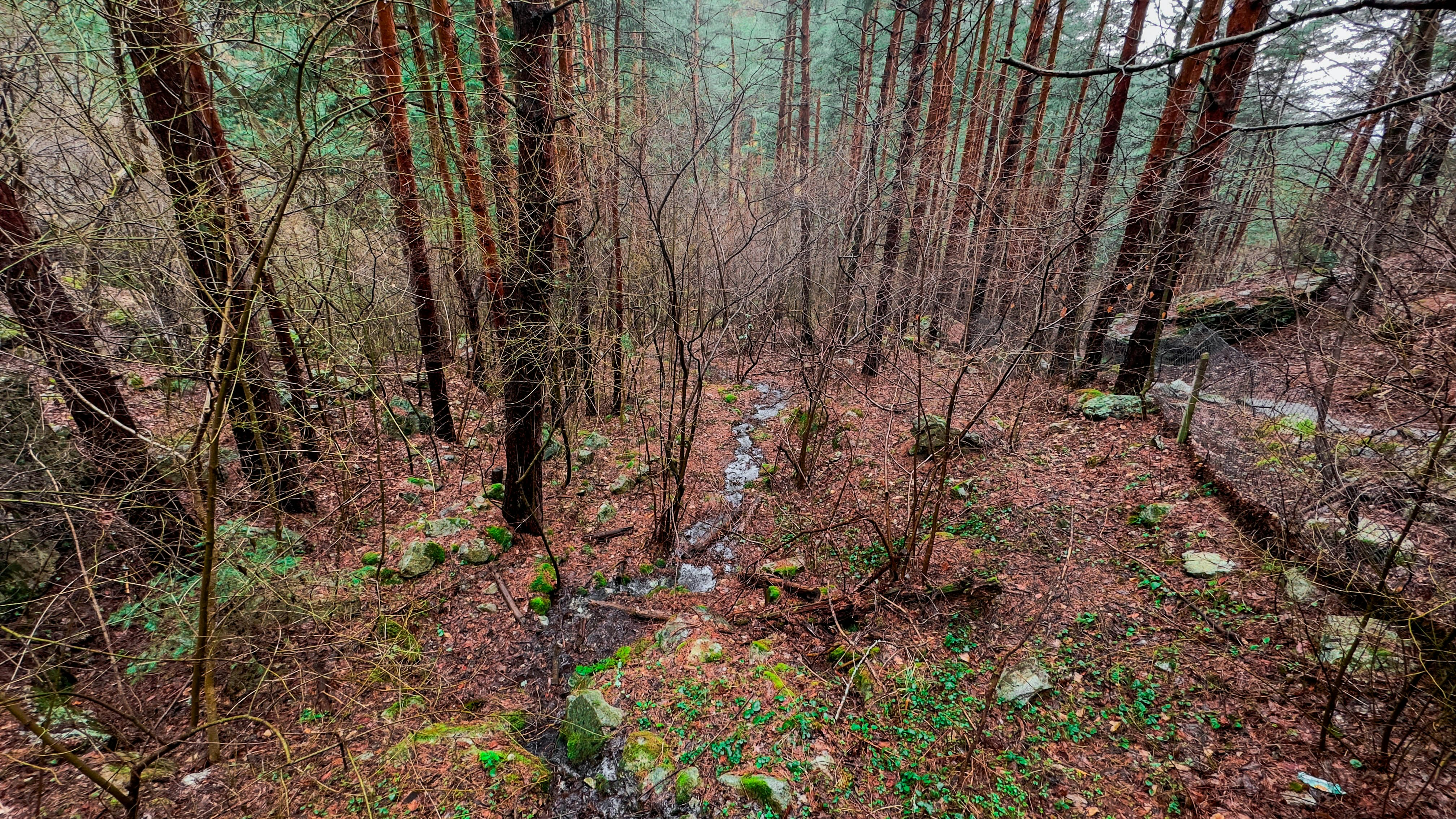 Photo by archange1michael