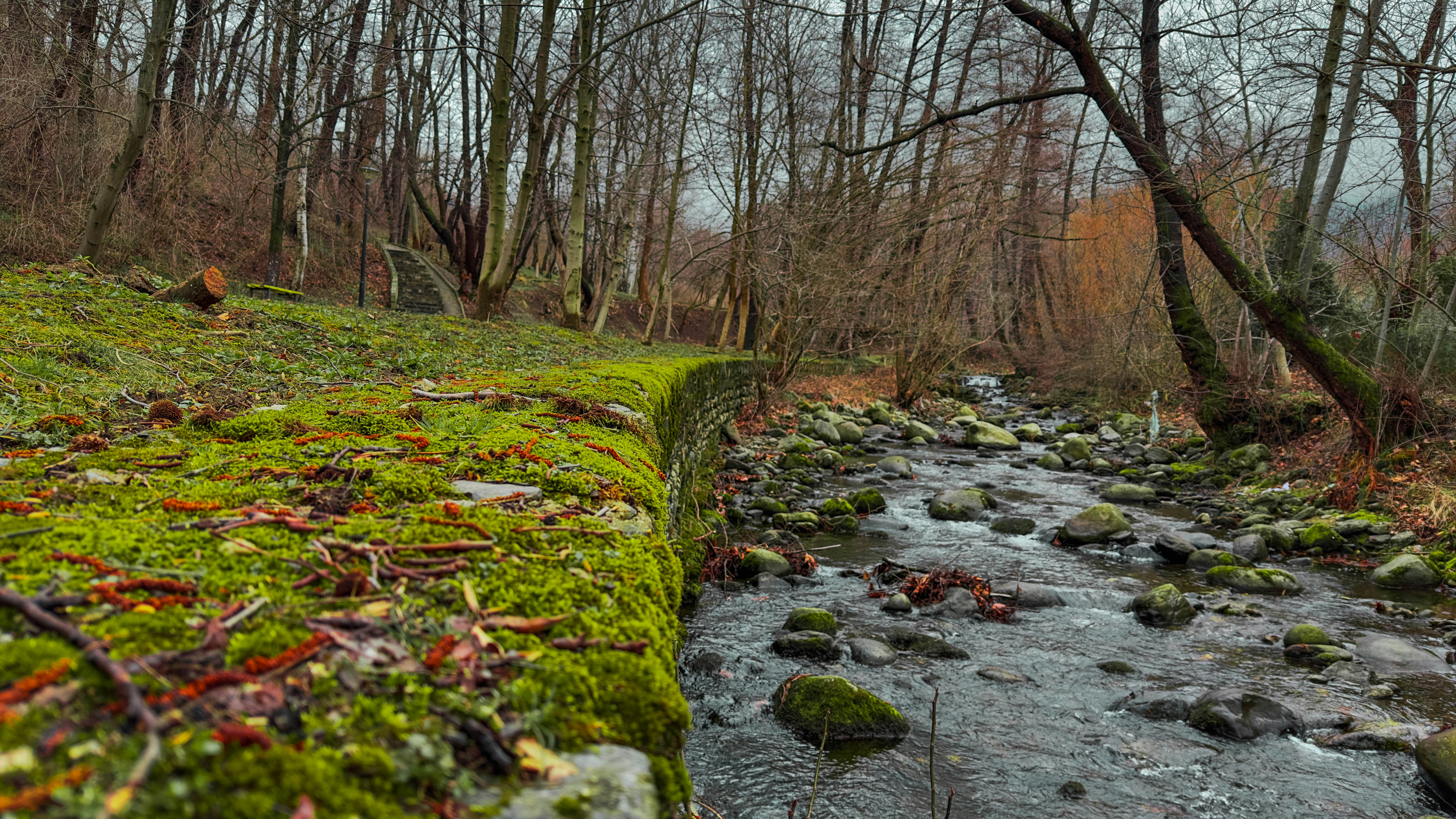 Photo by archange1michael