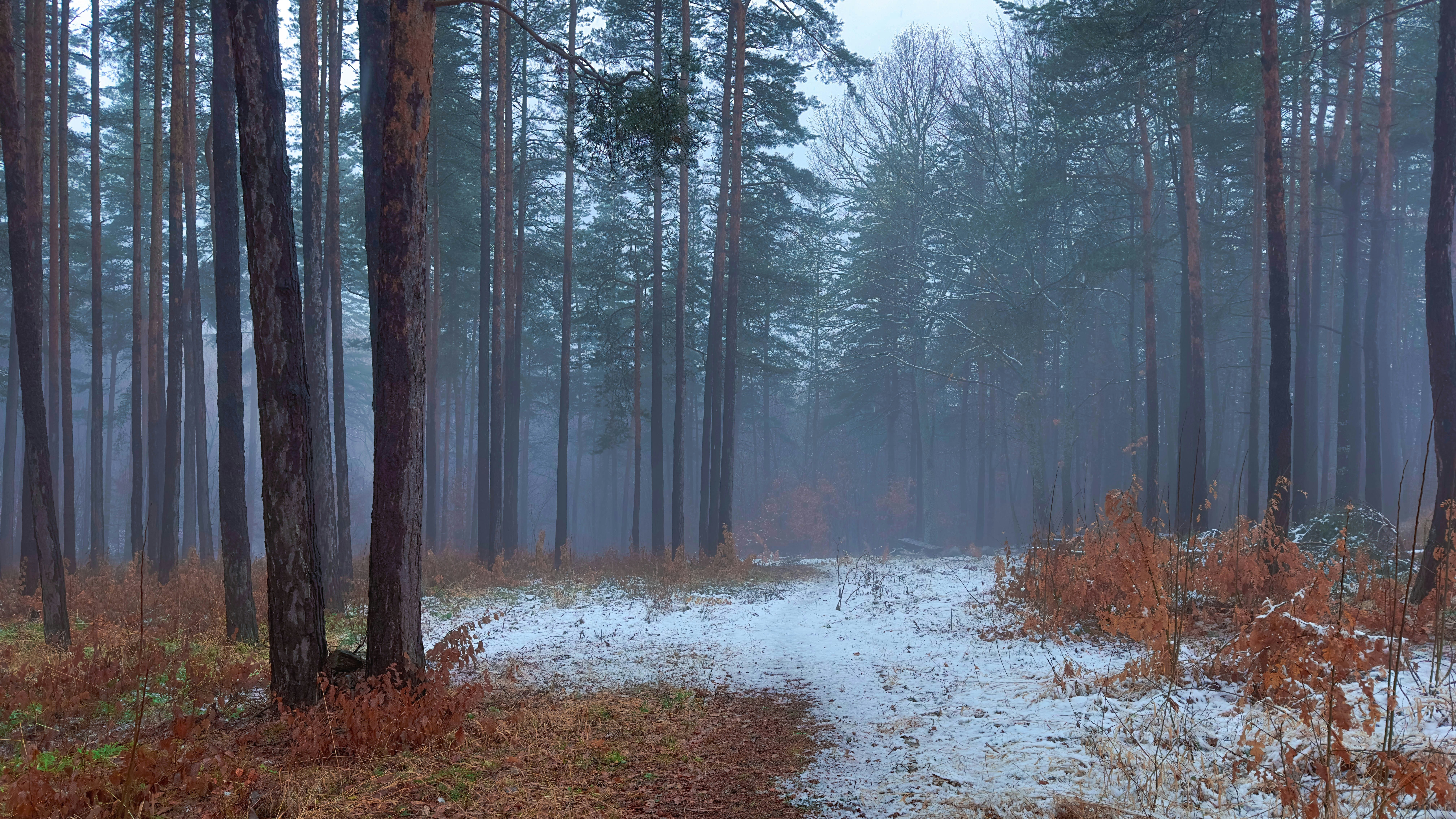 Photo by archange1michael