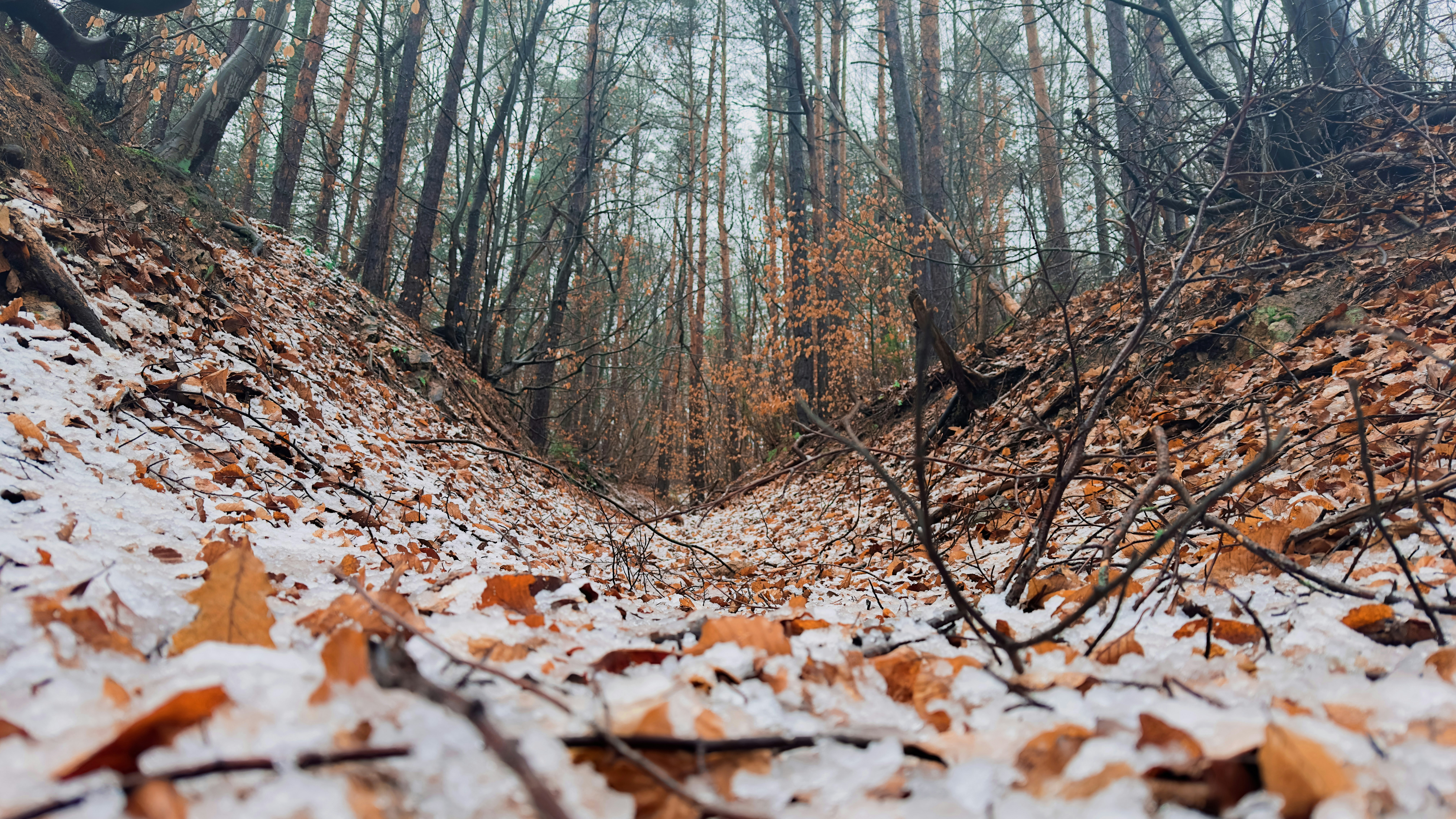 Photo by archange1michael