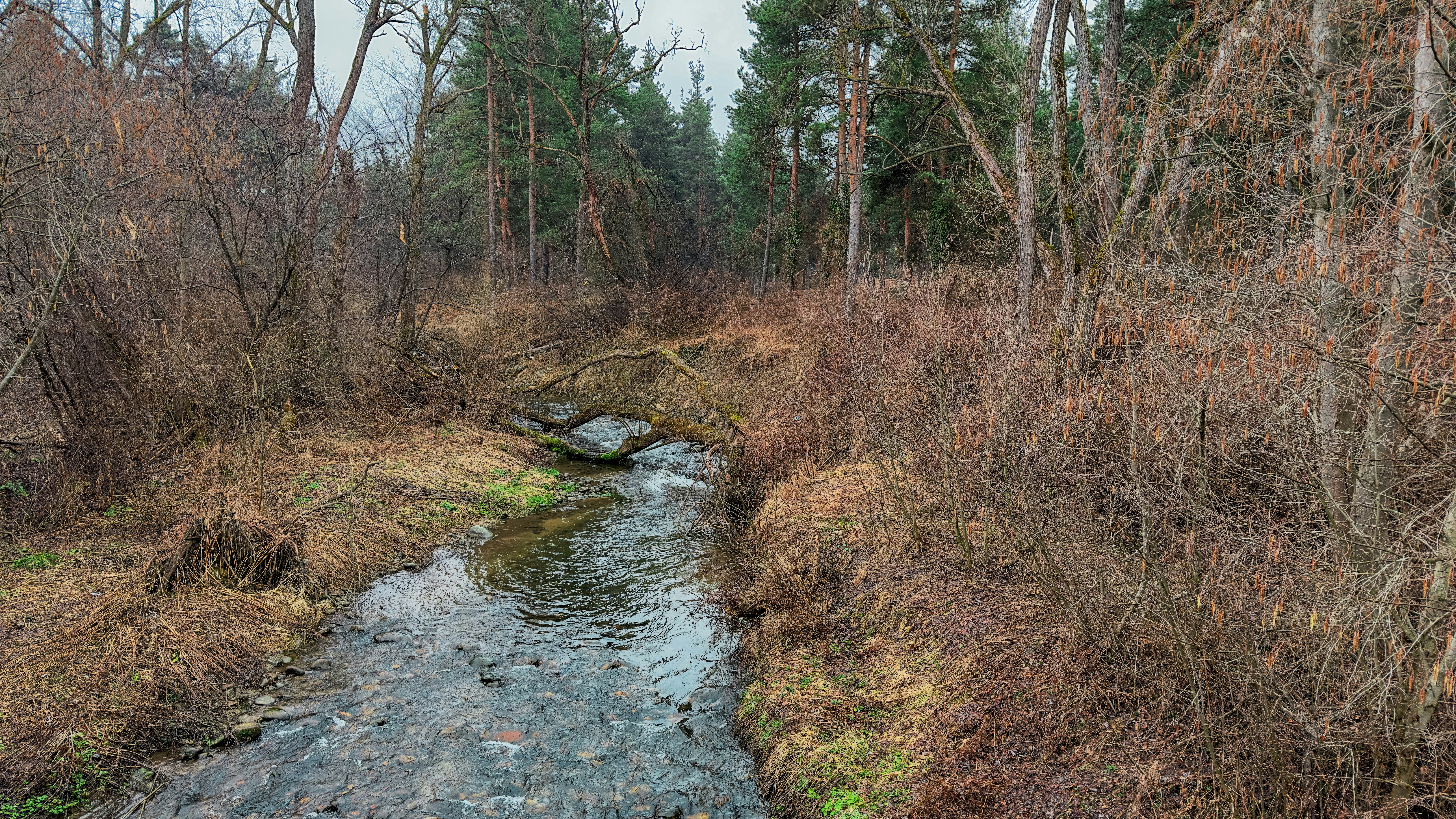 Photo by archange1michael