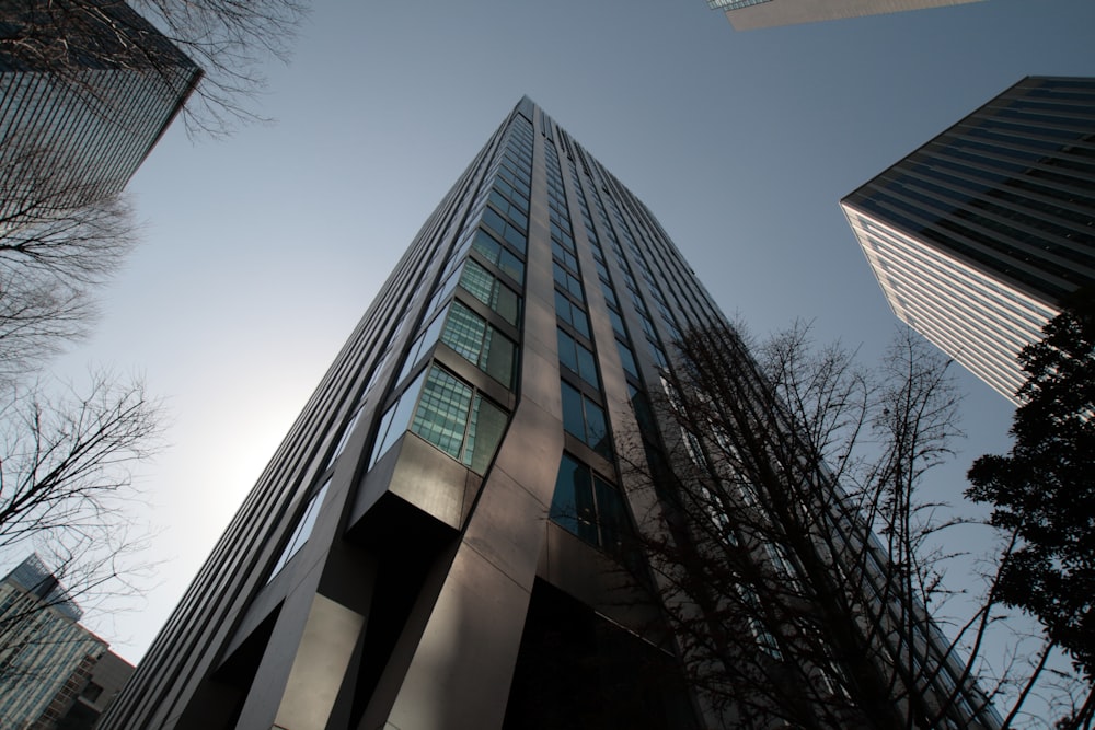 looking up at a tall building in a city