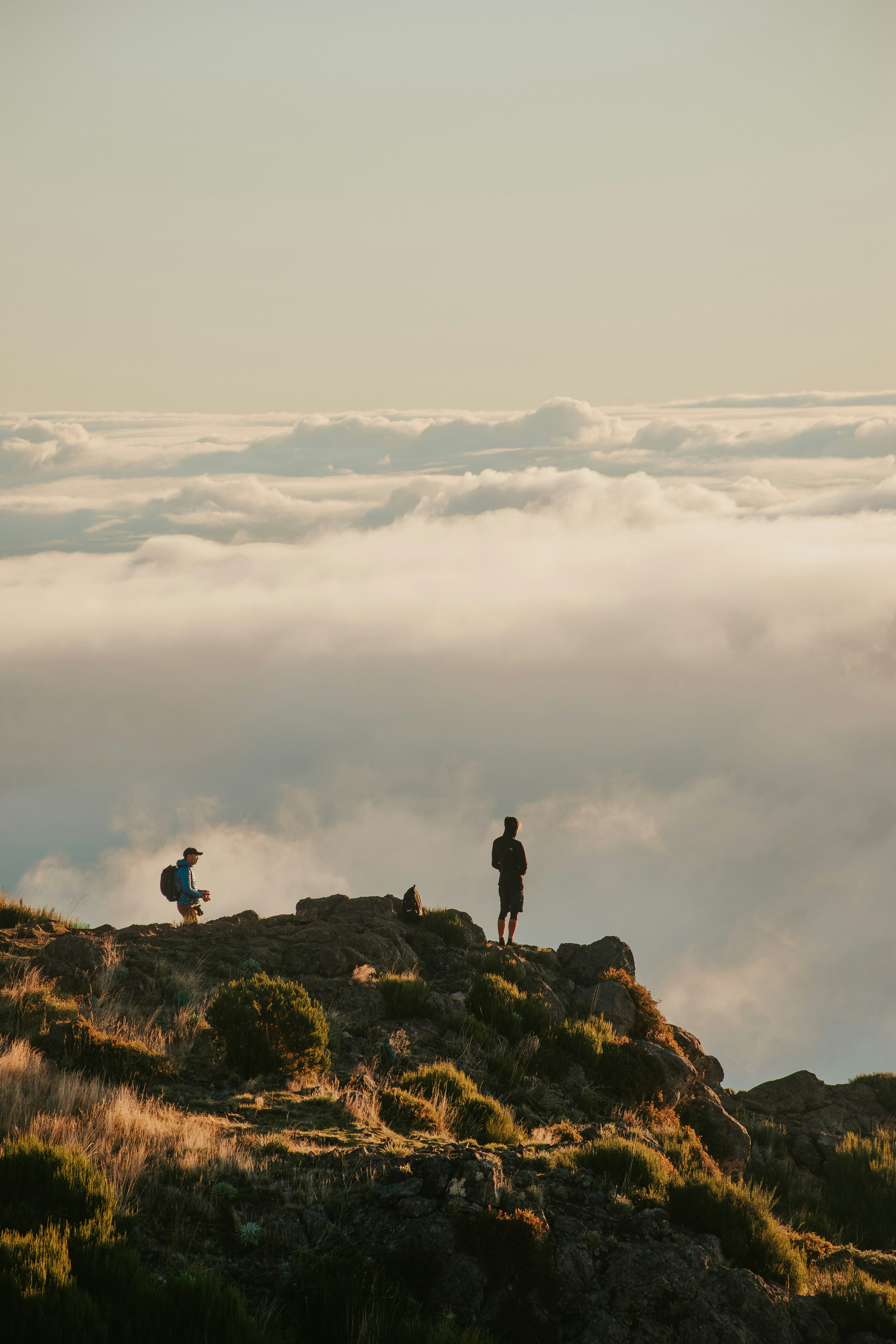 Photo by nilslindner