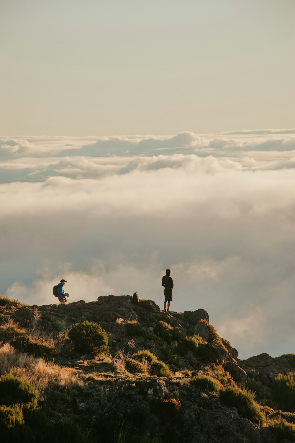 a couple of people standing on top of a mountain