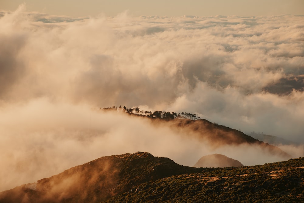 a mountain covered in clouds and trees on top of a hill