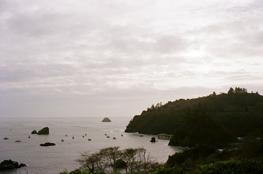 a body of water surrounded by a lush green hillside