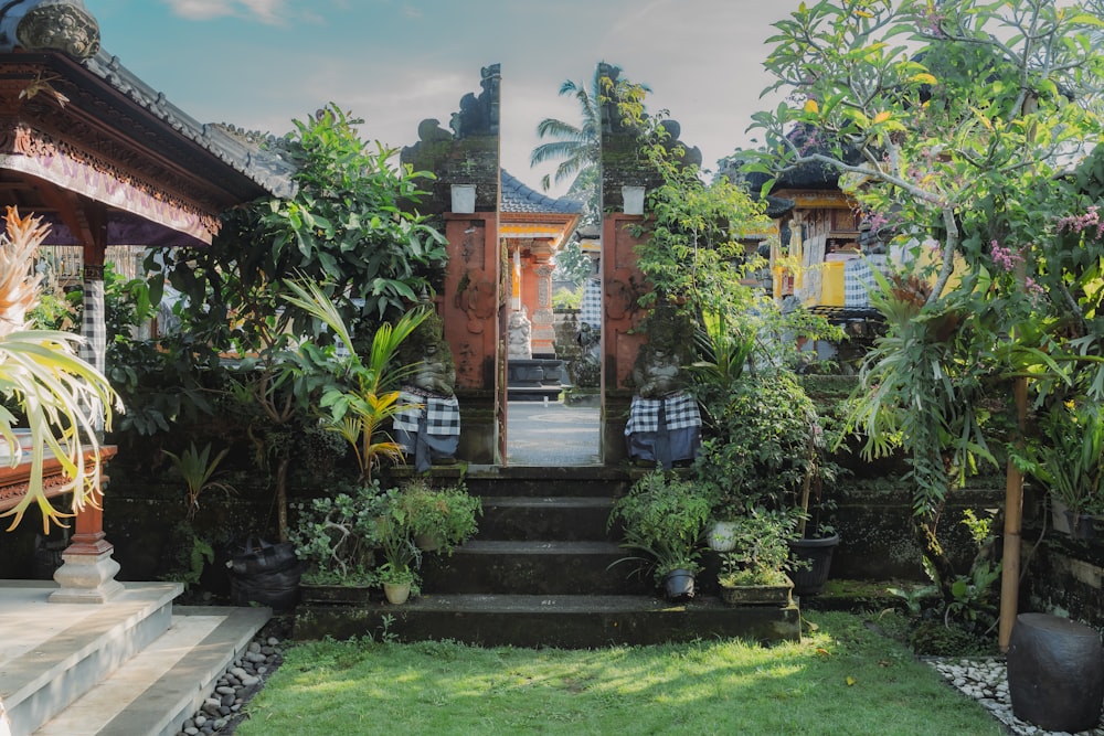 a garden with a lot of trees and plants