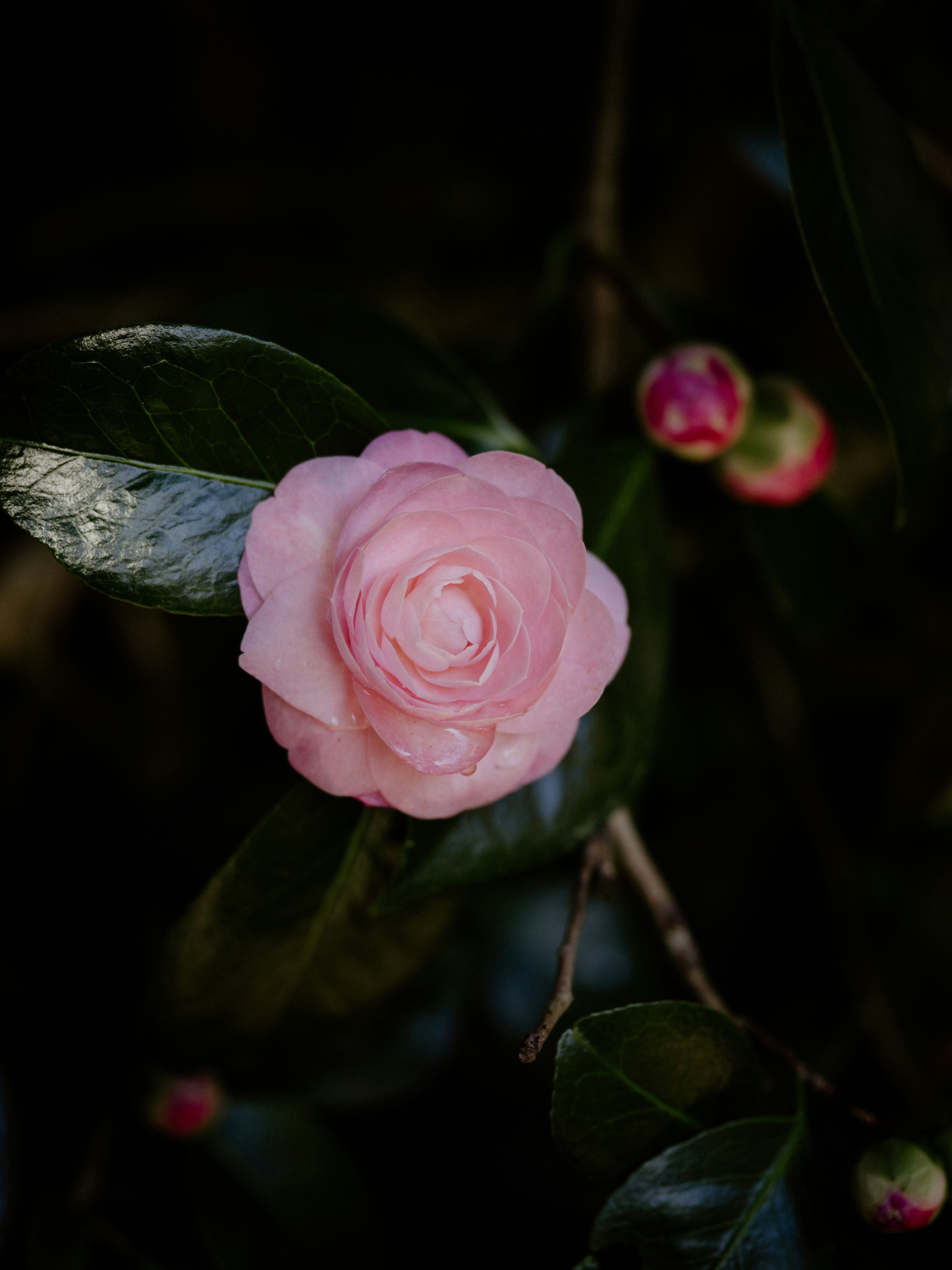 Photo by anniespratt