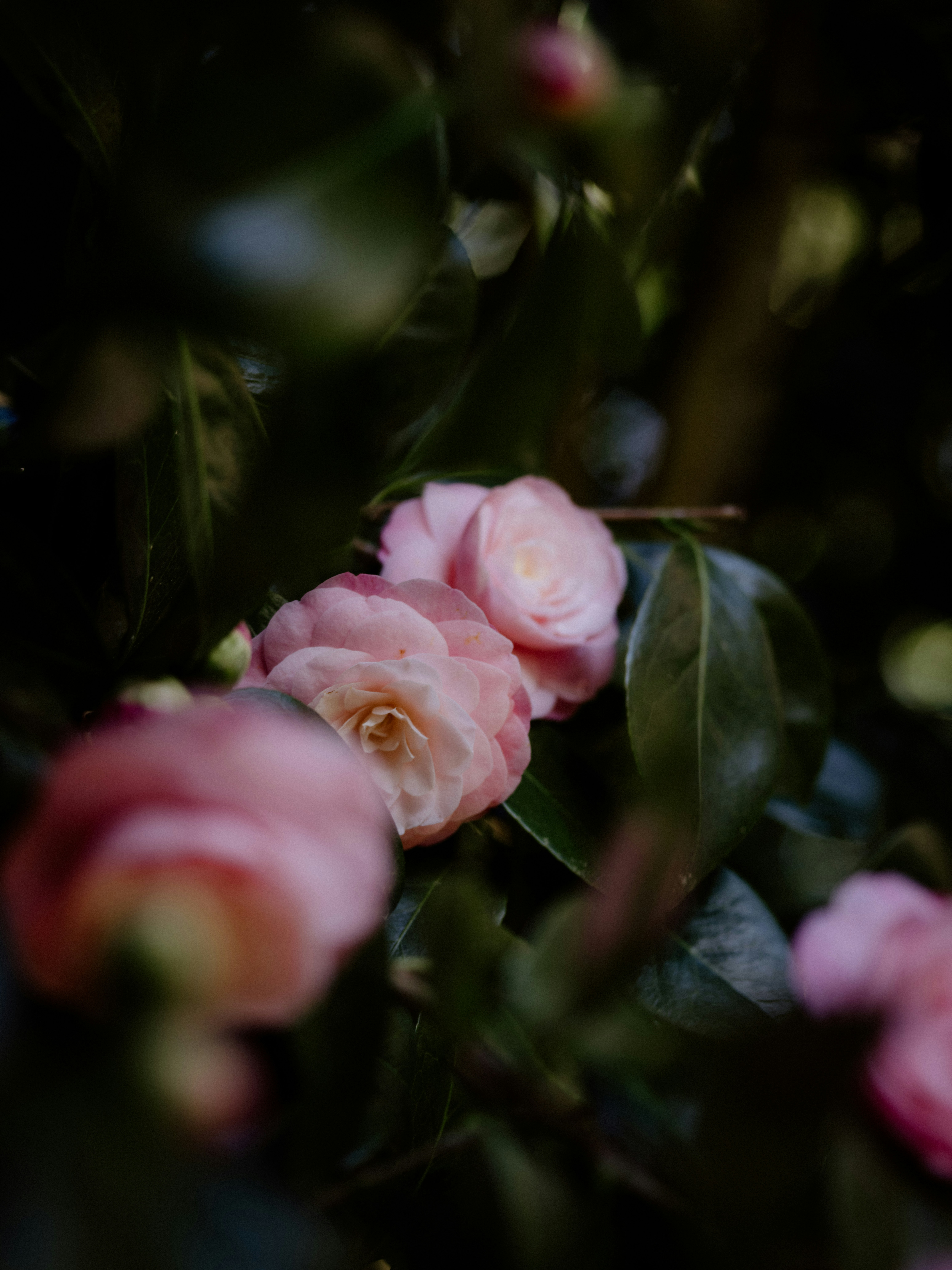 Photo by anniespratt