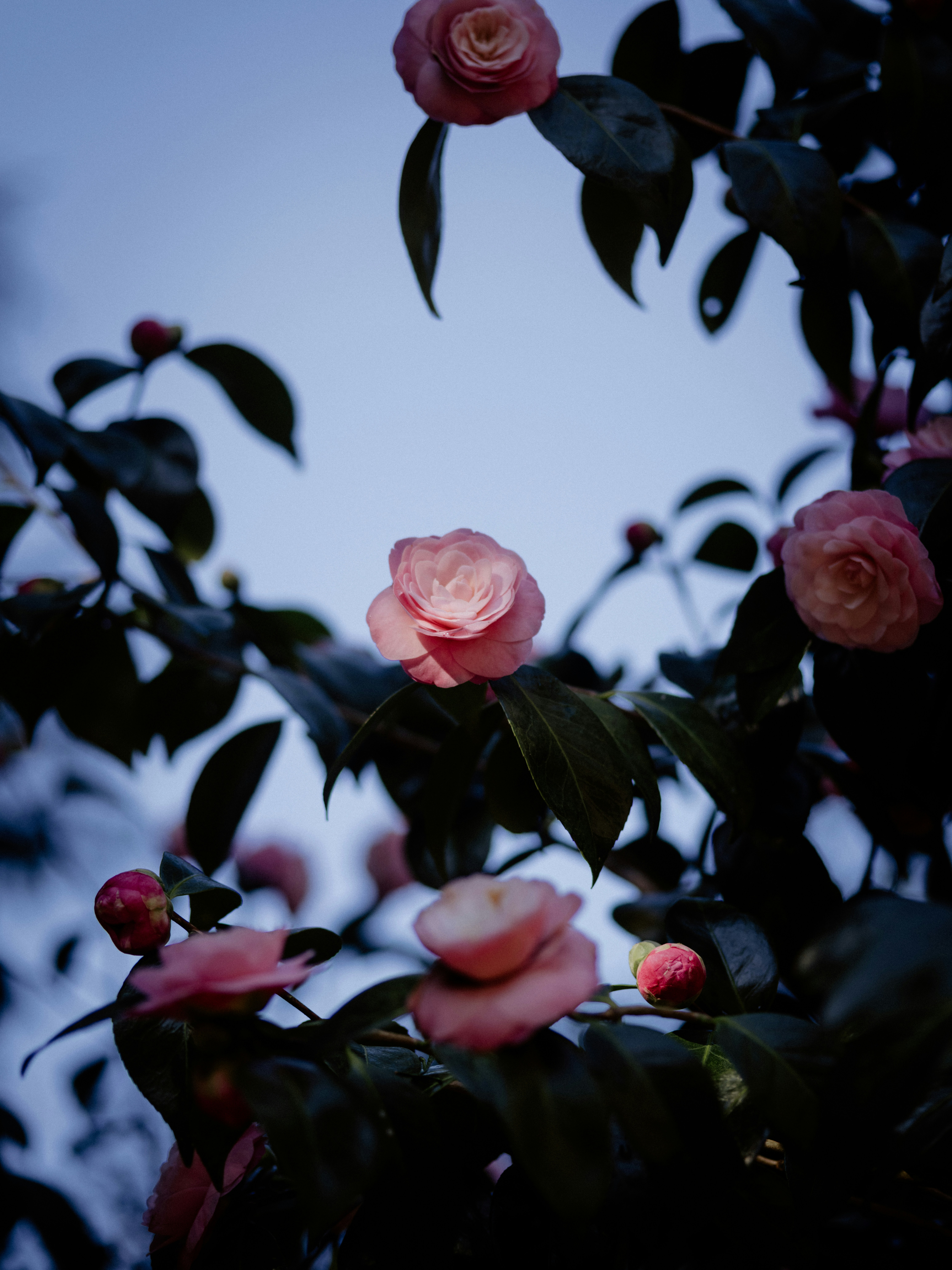 Photo by anniespratt