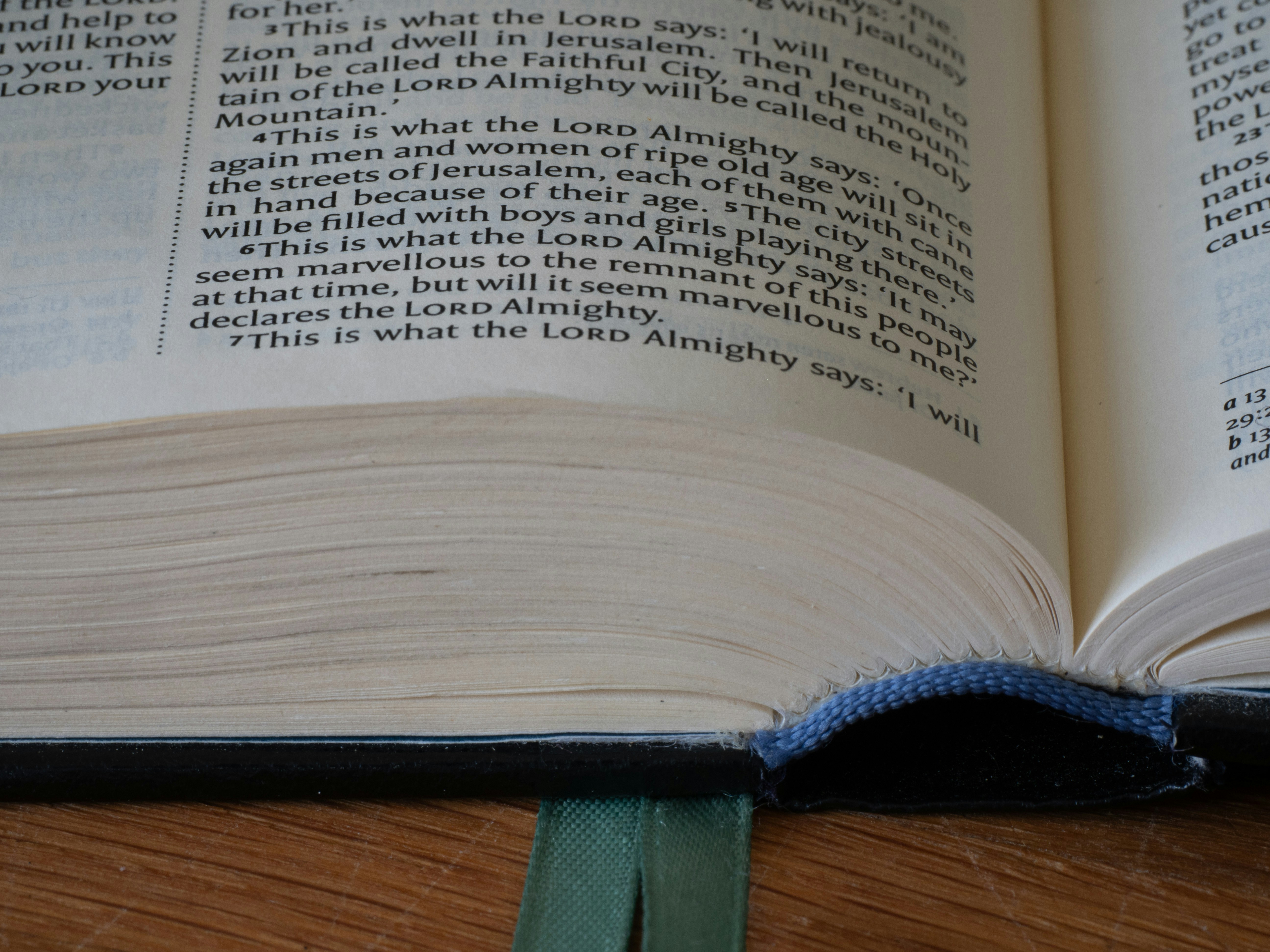 Photo by brett_jordan