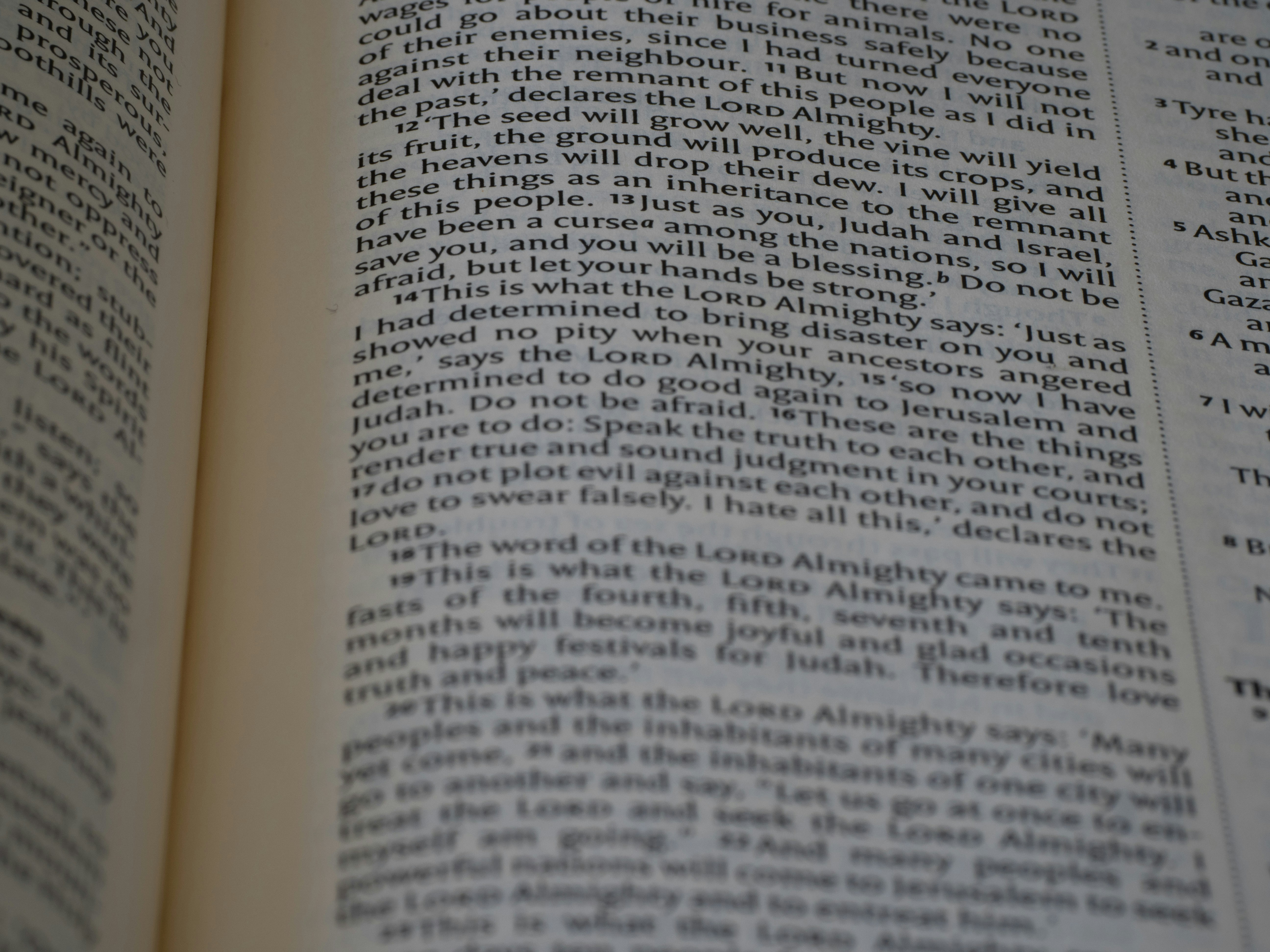 Photo by brett_jordan