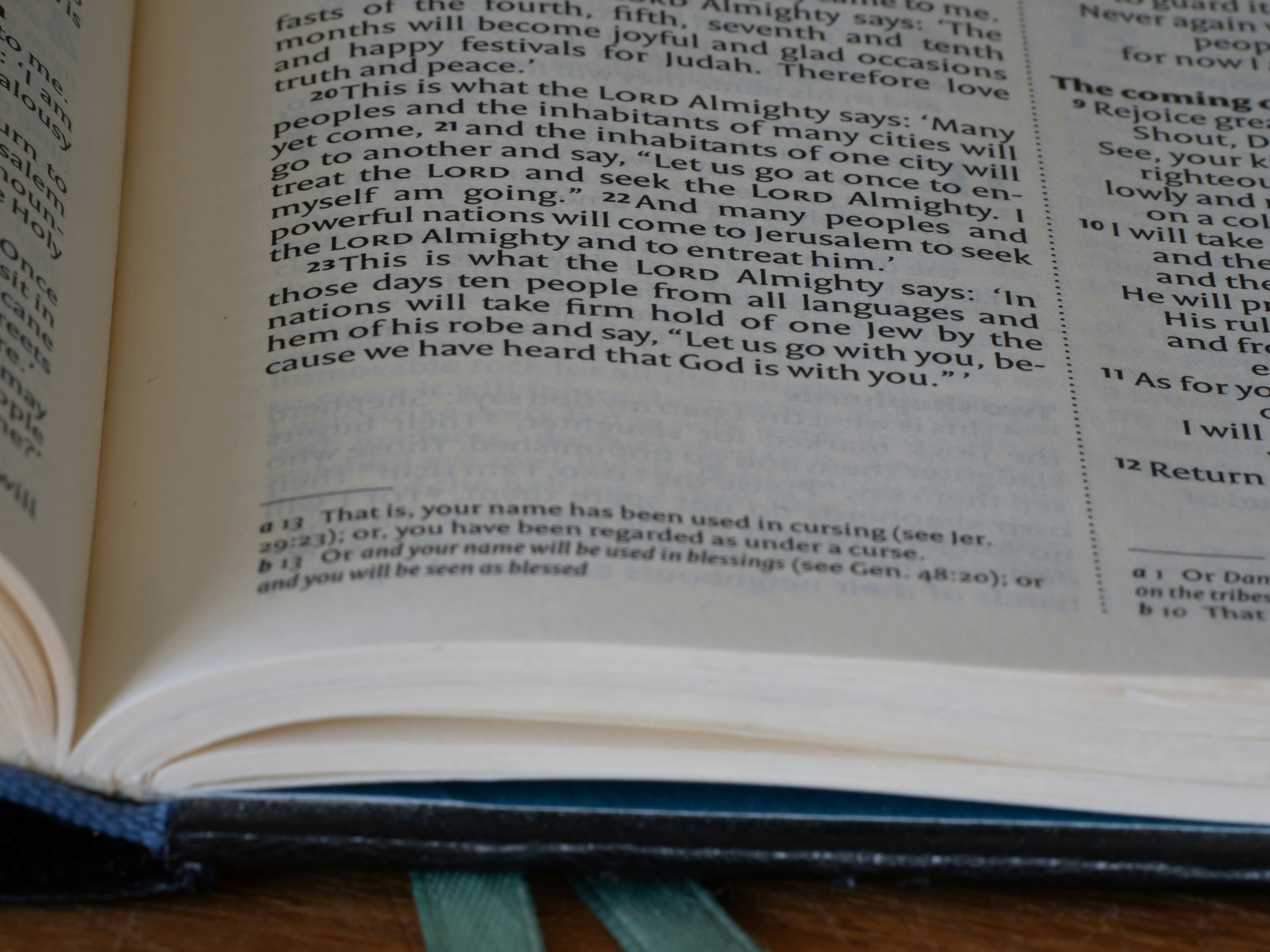 Photo by brett_jordan